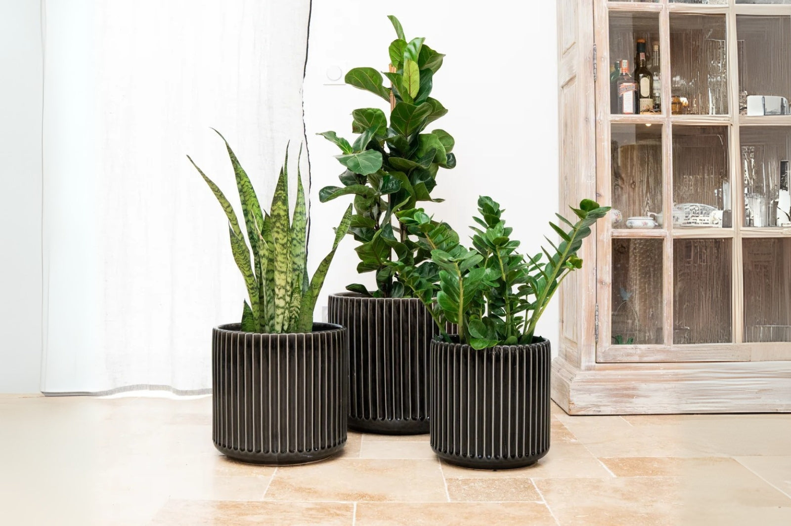 Přesazení pokojové rostliny do keramického květináče v interiéru