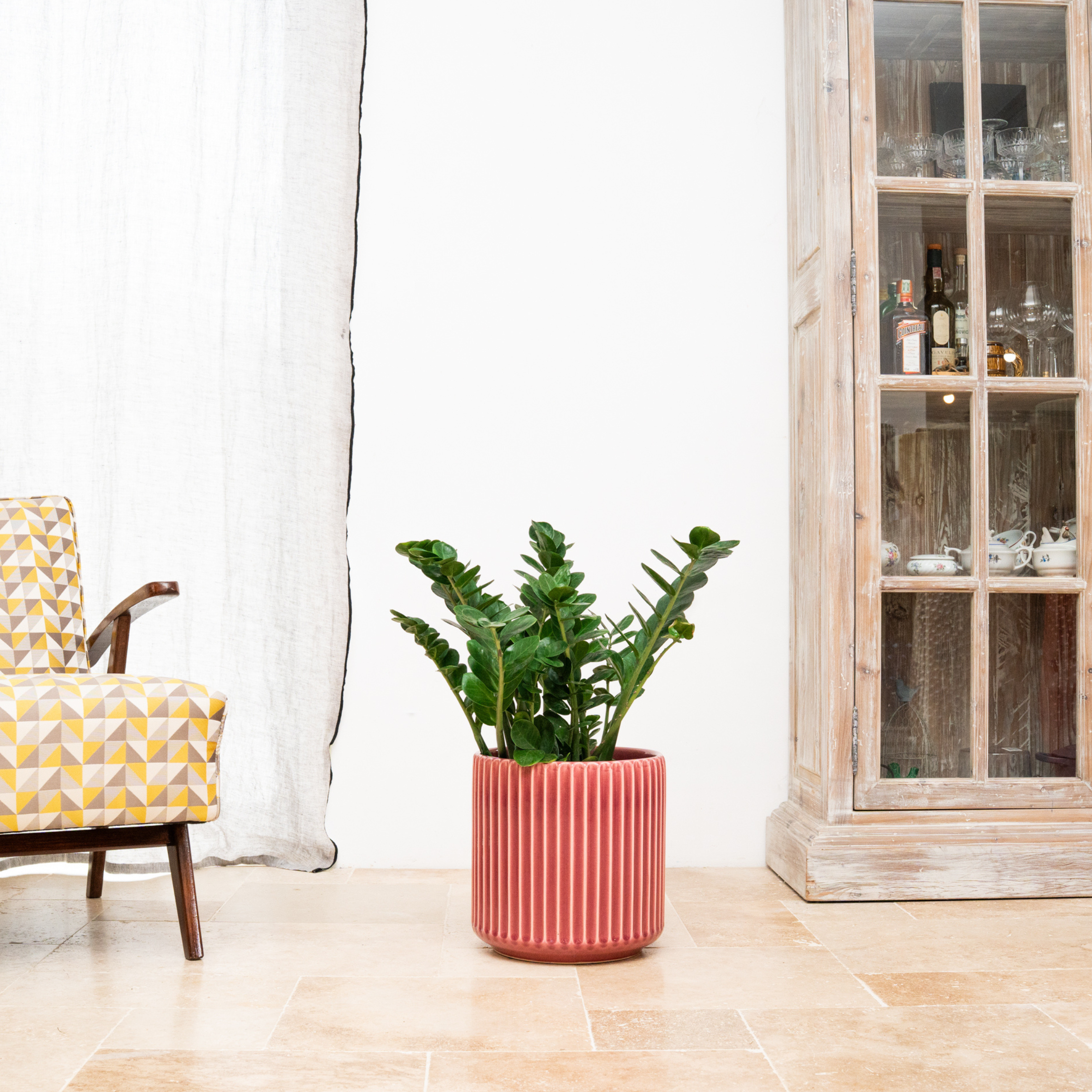 LONDON Růžový Terrakotta-Topf – Provencelia, für Garten und Terrasse