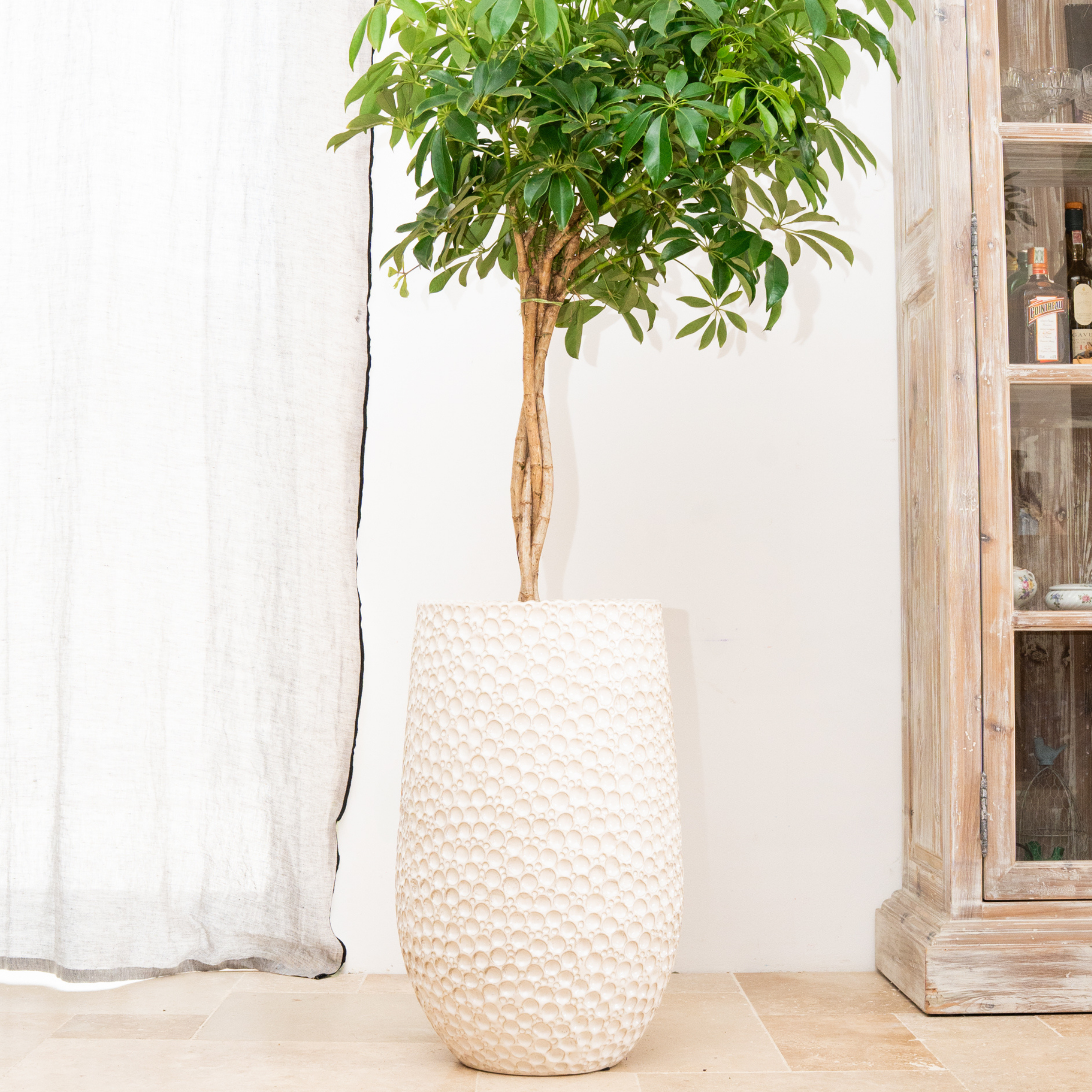 Blumentopf PARIS Weiß – handgefertigte Keramik, XXL bis 68 cm