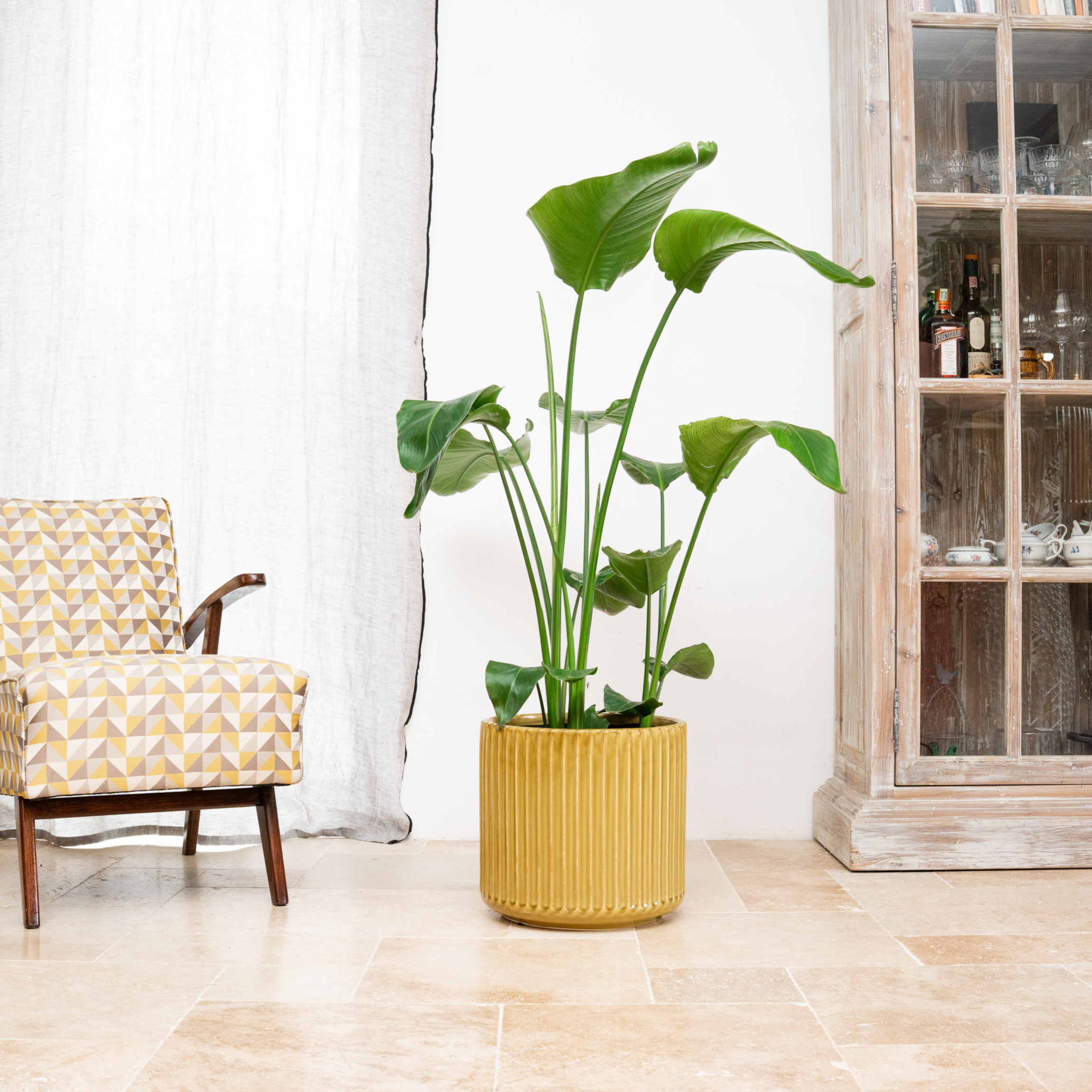 Blumentopf LONDON Gelb – handgefertigte Keramik, XXL bis 68 cm