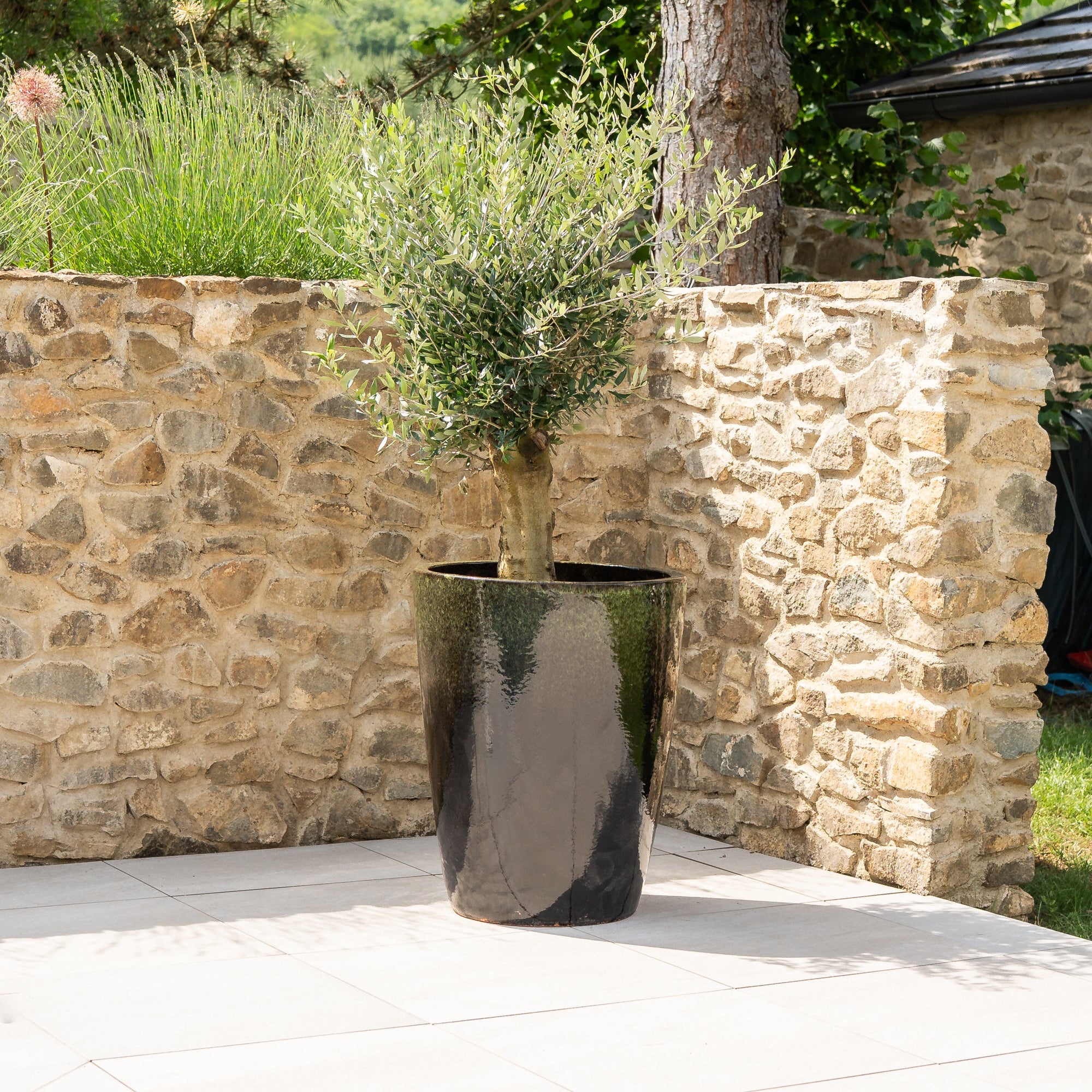 Keramik-Blumentopf MAZARIN - Schwarz/Grün