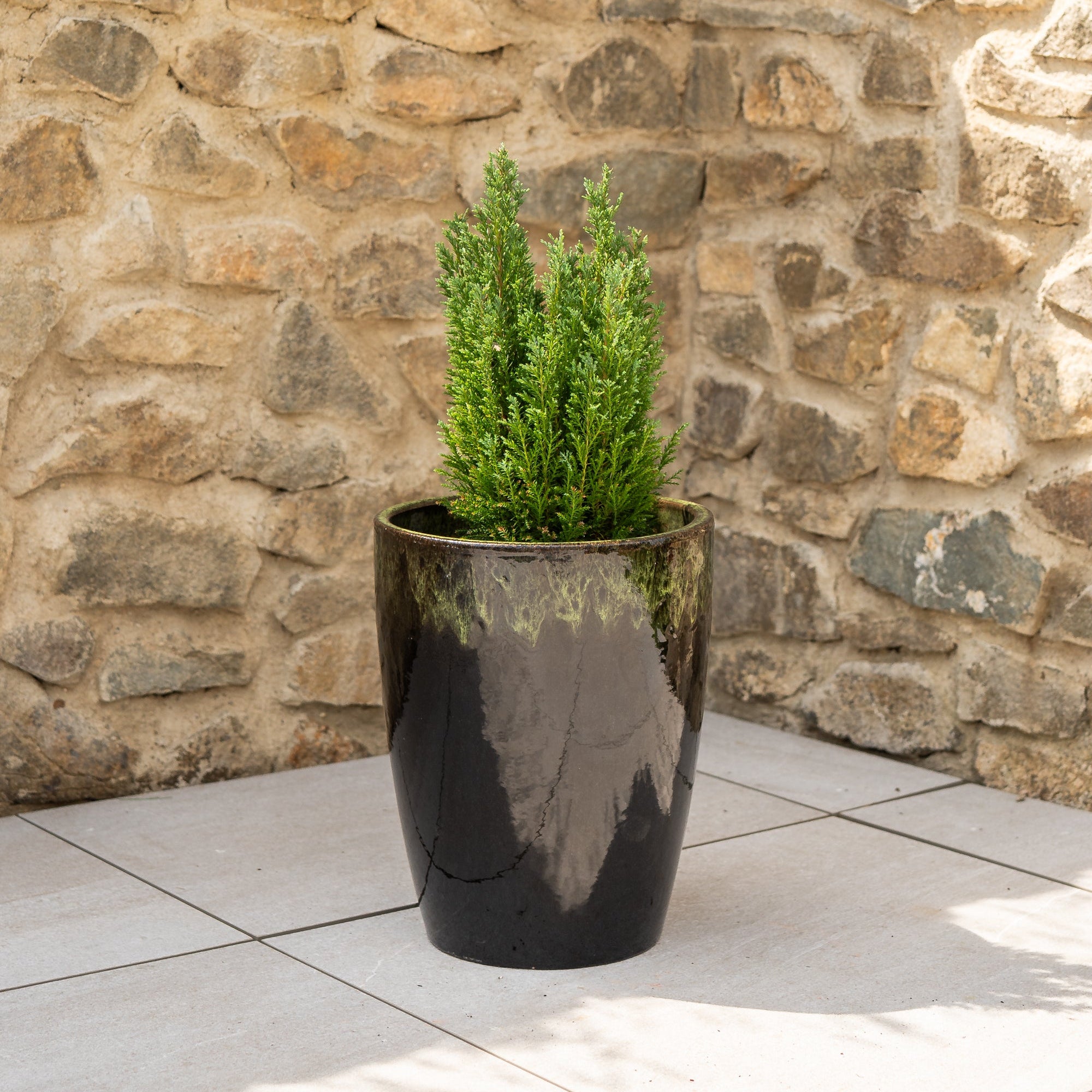 Keramik-Blumentopf MAZARIN - Schwarz/Grün