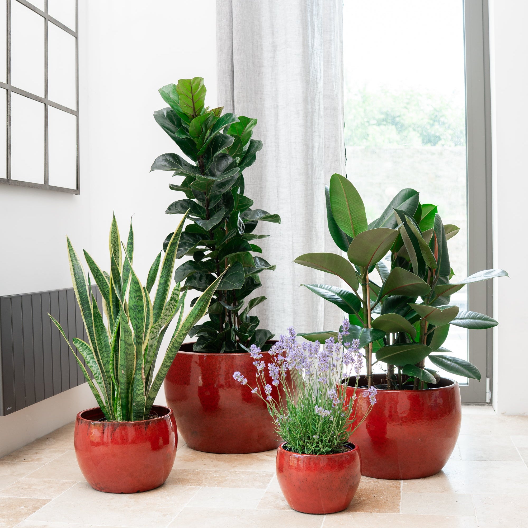 Keramik-Blumentopf ROMULUS - Tropenrot