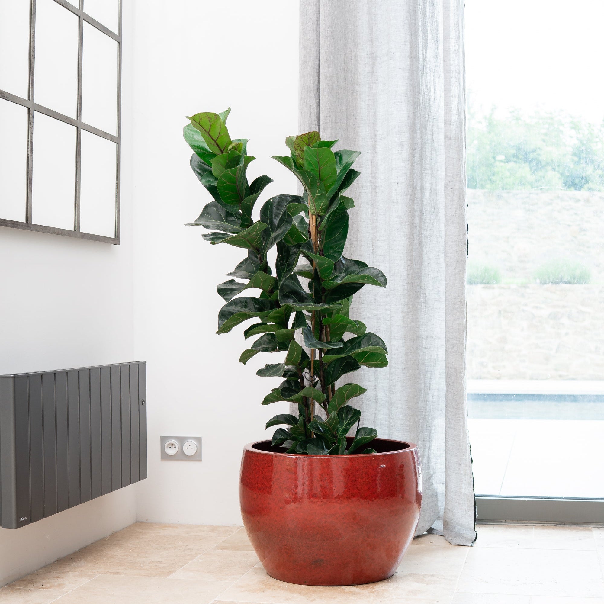 Keramik-Blumentopf ROMULUS - Tropenrot