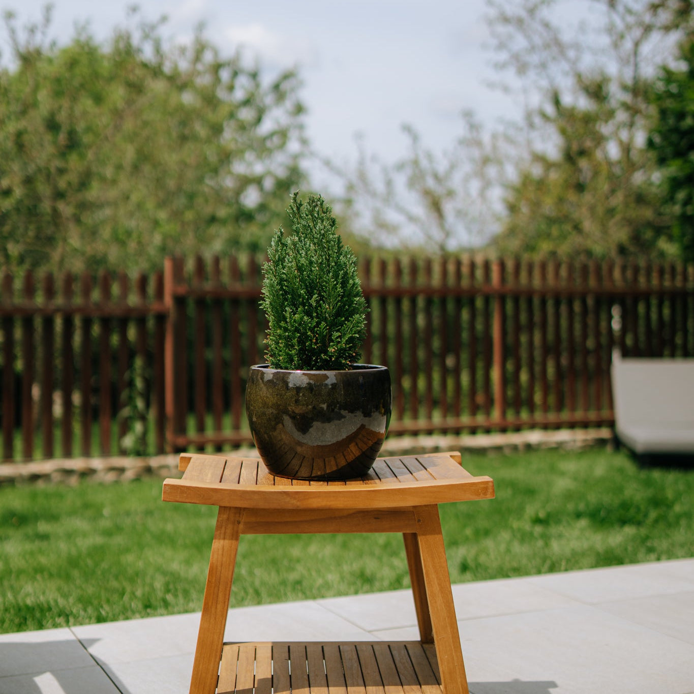 Keramik-Blumentopf ROMULUS - Tropengrün