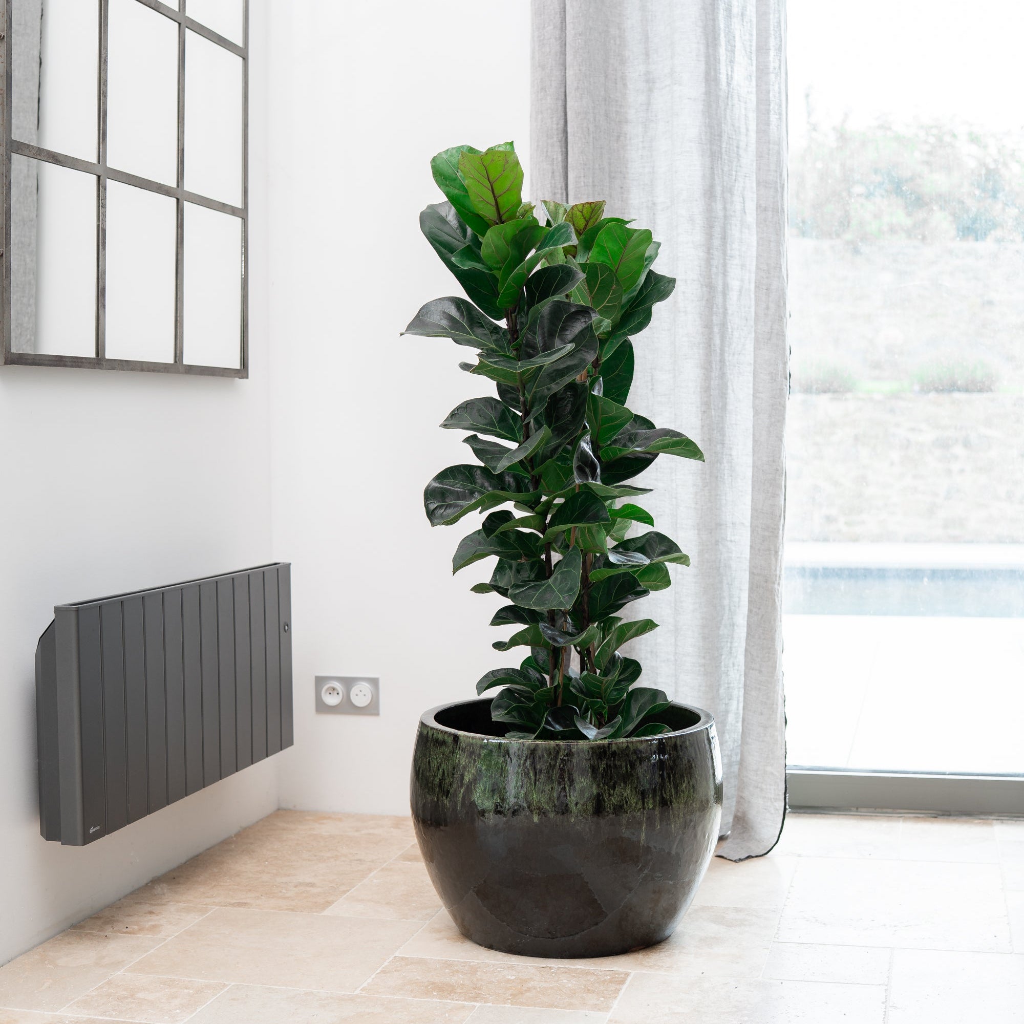 Keramik-Blumentopf ROMULUS - Schwarz/Grün