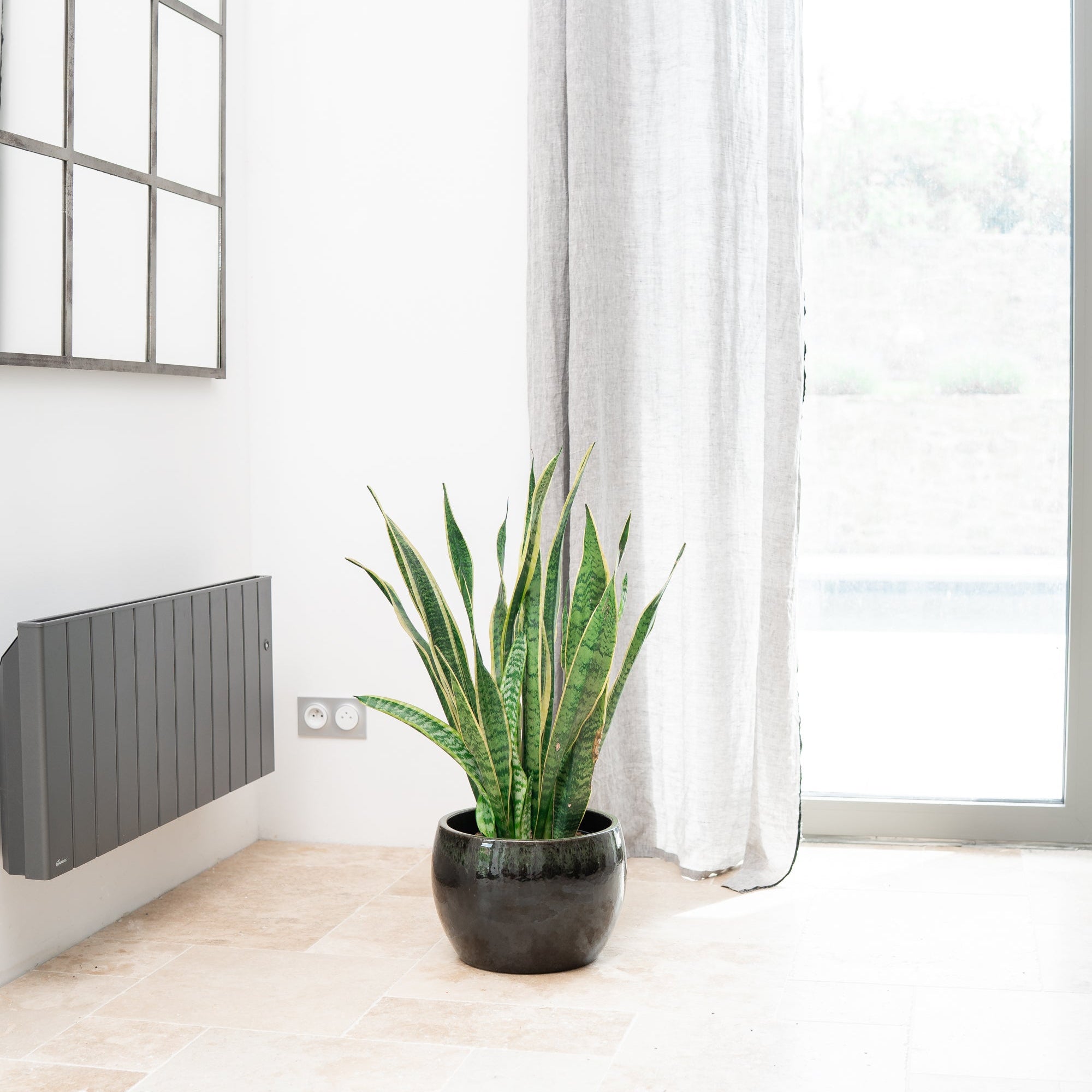 Provencelia ROMULUS Schwarz – Premium Keramiktopf, zeitloses Design
