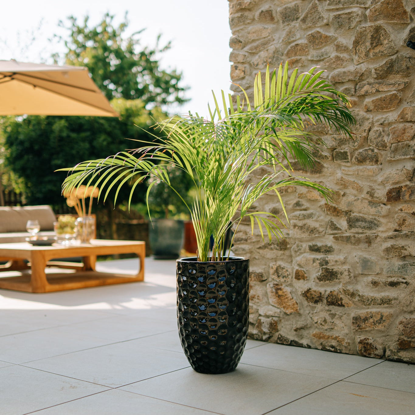 Provencelia MEROVEE Schwarz – Premium Keramiktopf, zeitloses Design