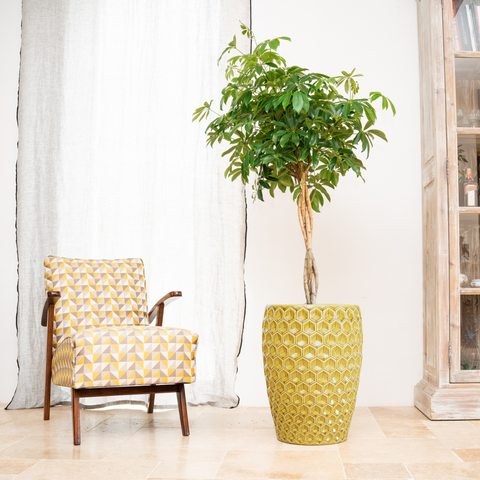 Keramischer Blumentopf Versaille – Gelb