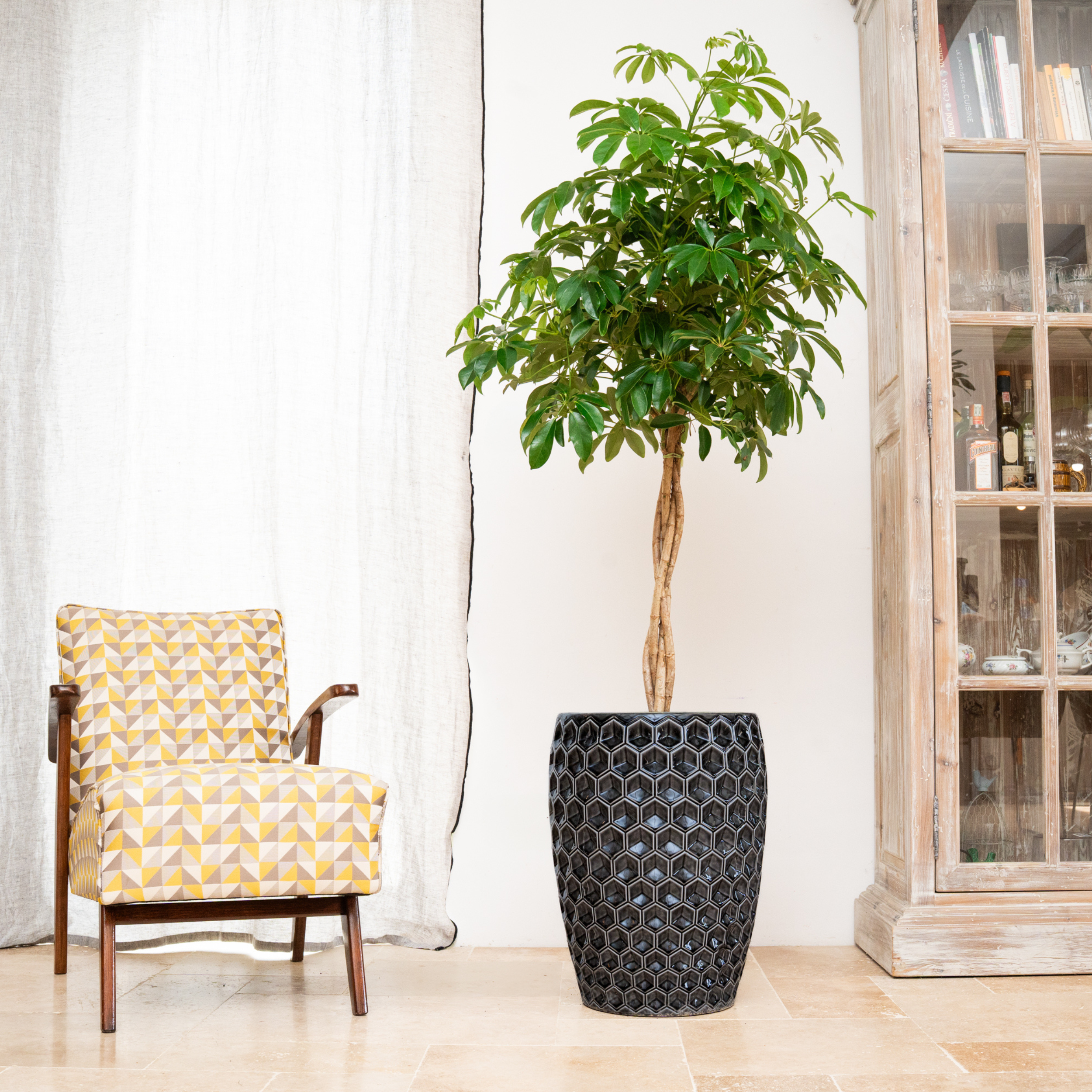 Provencelia Pflanzkübel VERSAILLE Schwarz – glasierte Terrakotta, Anduze-Stil