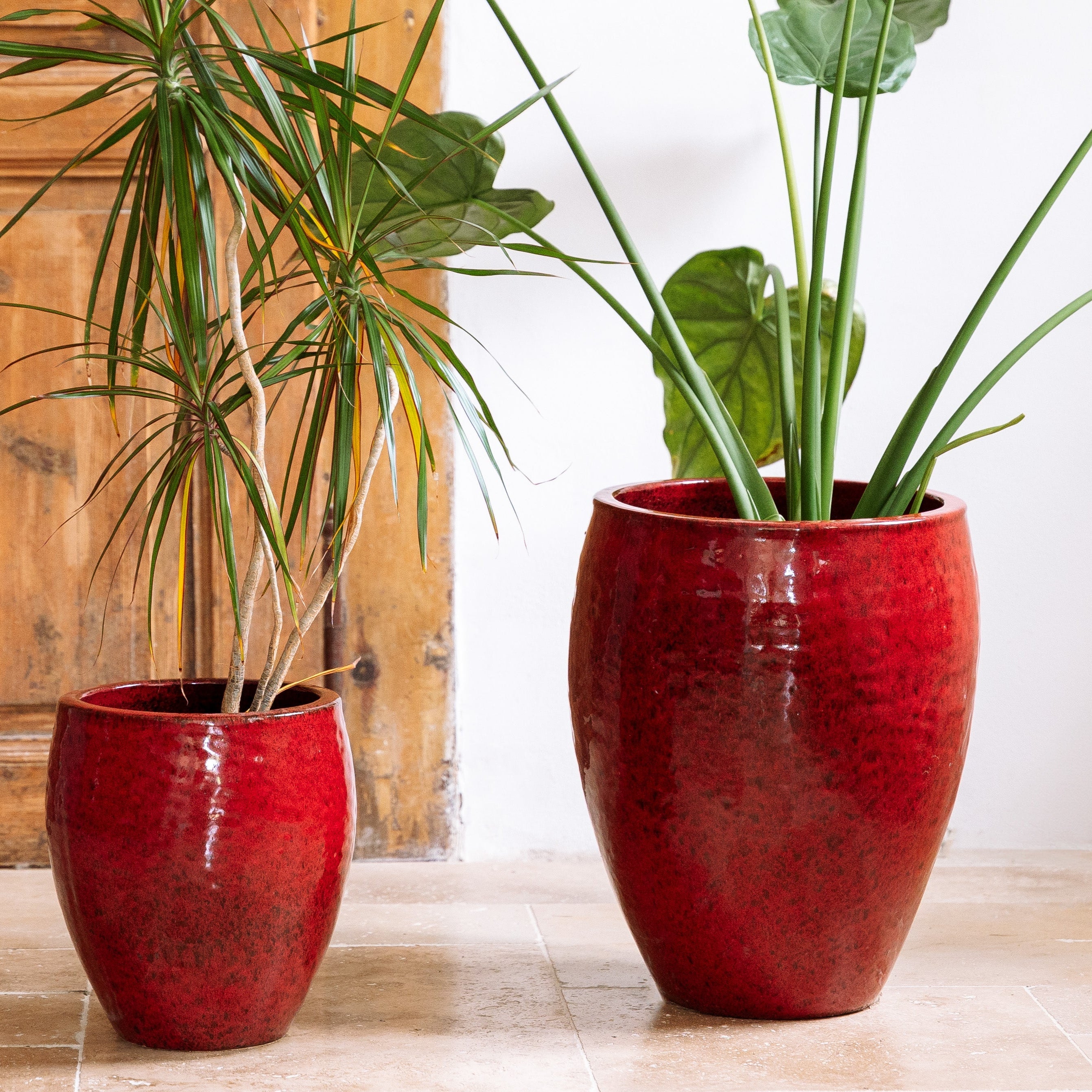 Keramik-Blumentopf POSEIDON - Tropenrot