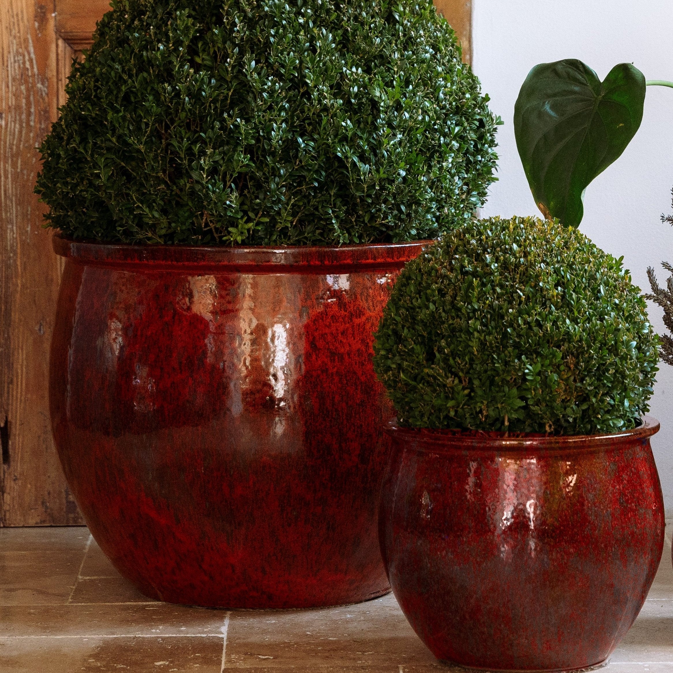 Blumentopf Keramik groß Herbstorange – winterhart für draußen