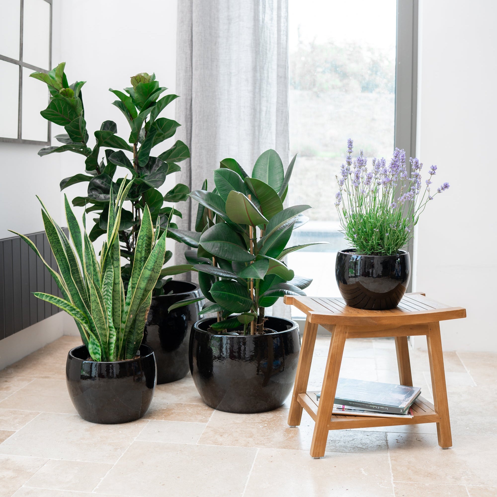 Keramik-Blumentopf ROMULUS - Schwarz