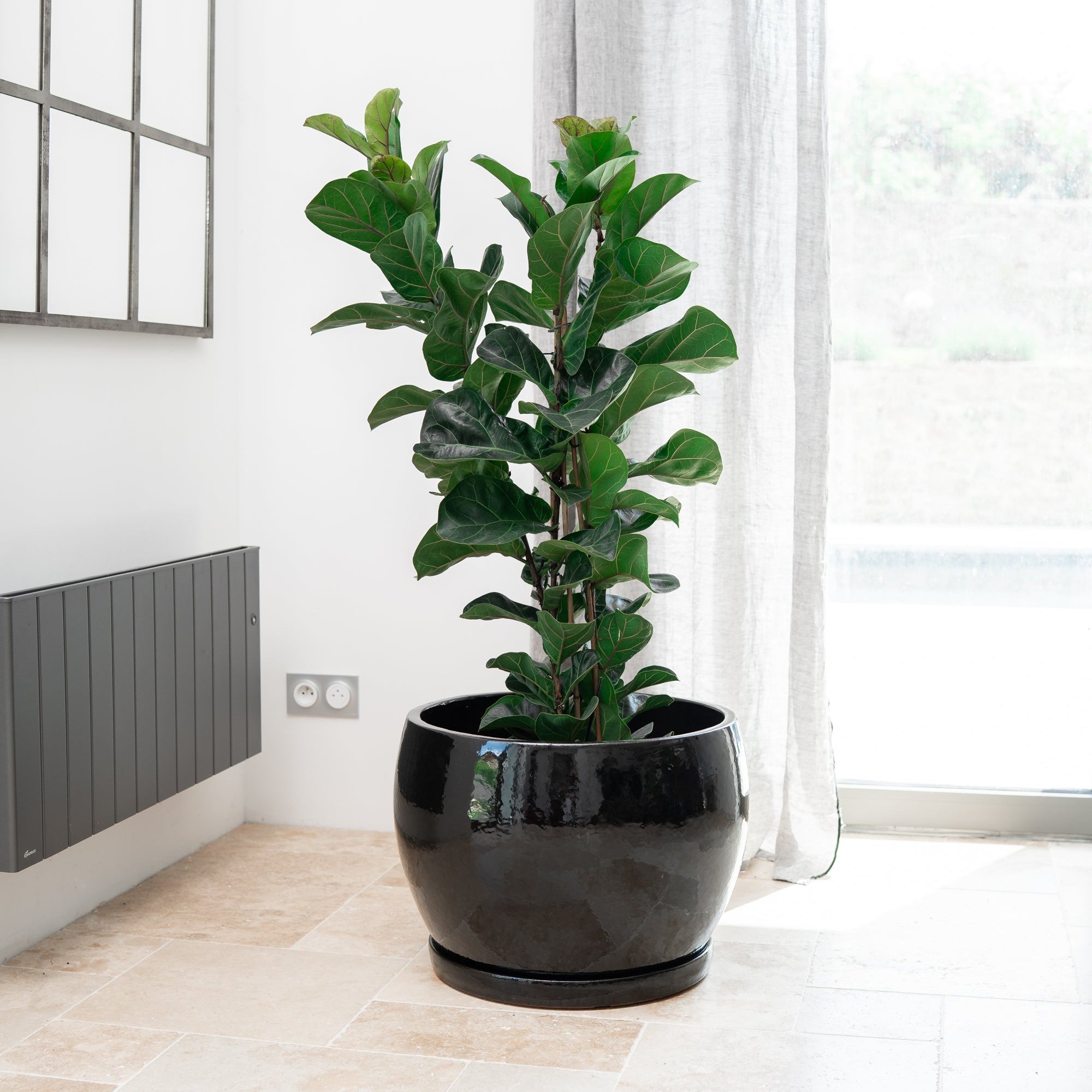 Keramik-Blumentopf ROMULUS - Schwarz