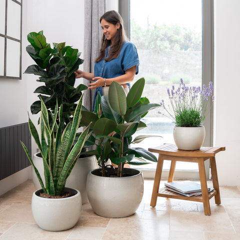 Keramik-Blumentopf ROMULUS - Cremefarben