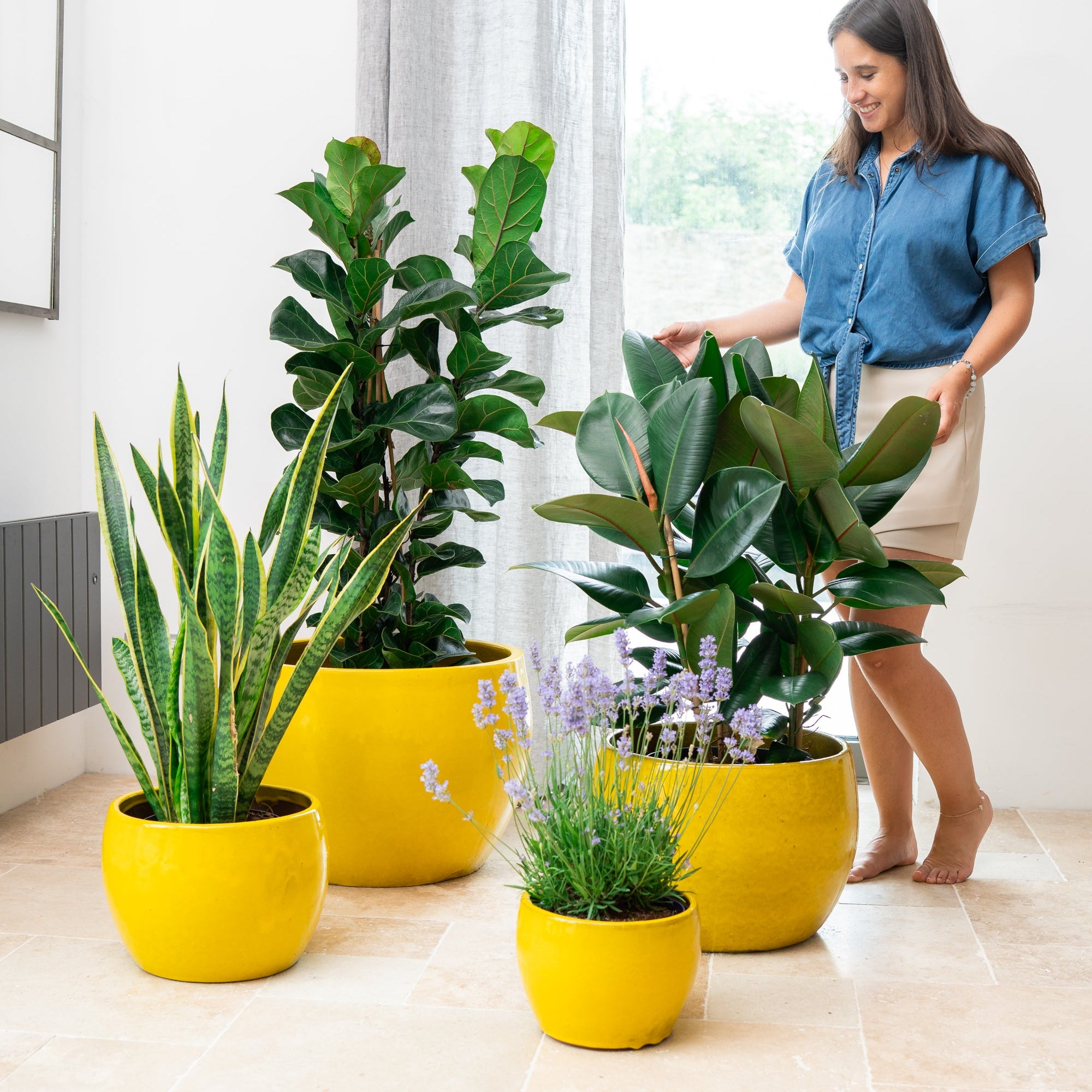 Keramik-Blumentopf ROMULUS - Gelb