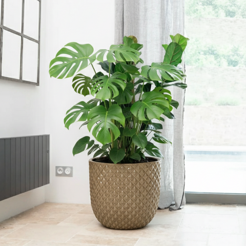 Keramik-Blumentopf MARS - Sandfarben