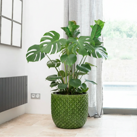 Keramik-Blumentopf MARS - Apfelgrün