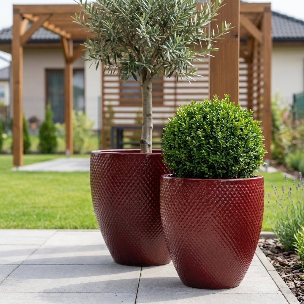 Detailní záběr na keramický květináč Signac - Císařská červená o výšce 52 cm osázený buxusem na slunné moderní terase.