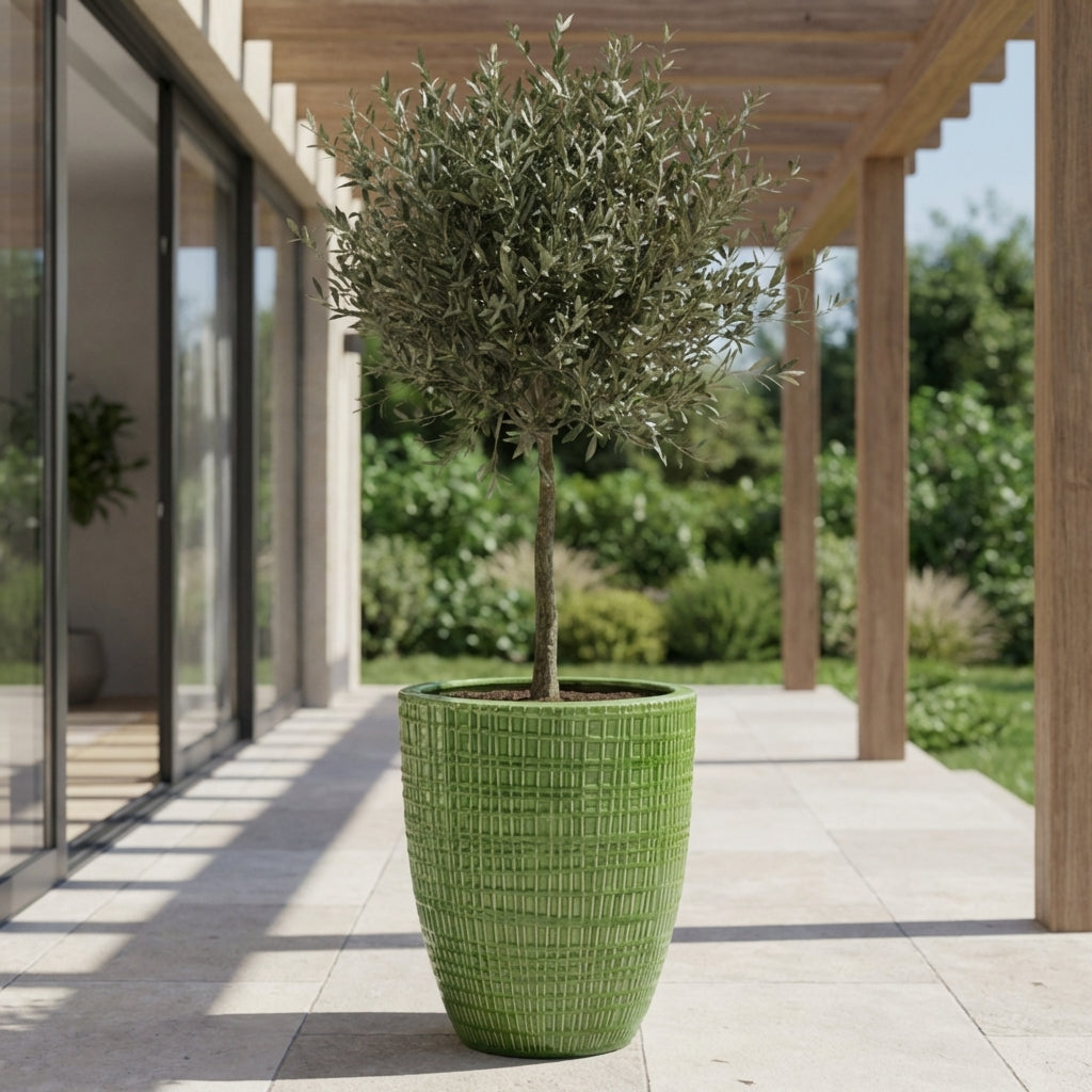 Detailní záběr na velký Keramický květináč Verne - Zelený osázený malým stromkem na prosluněné moderní terase.