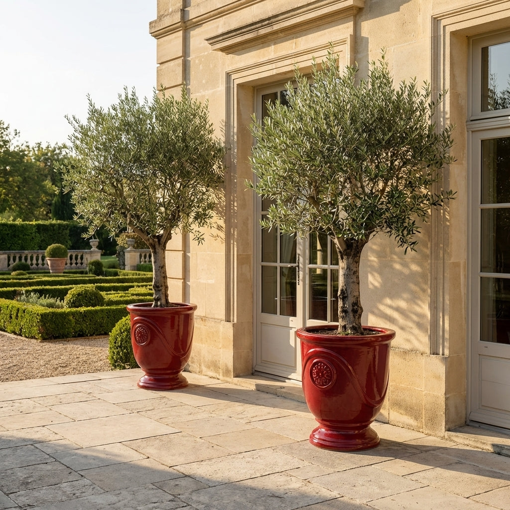Keramický květináč Moliere Císařsky červený – ručně vyráběný glazovaný květináč z terakoty s ozdobným reliéfem a olivovníkem na slunné terase vily.