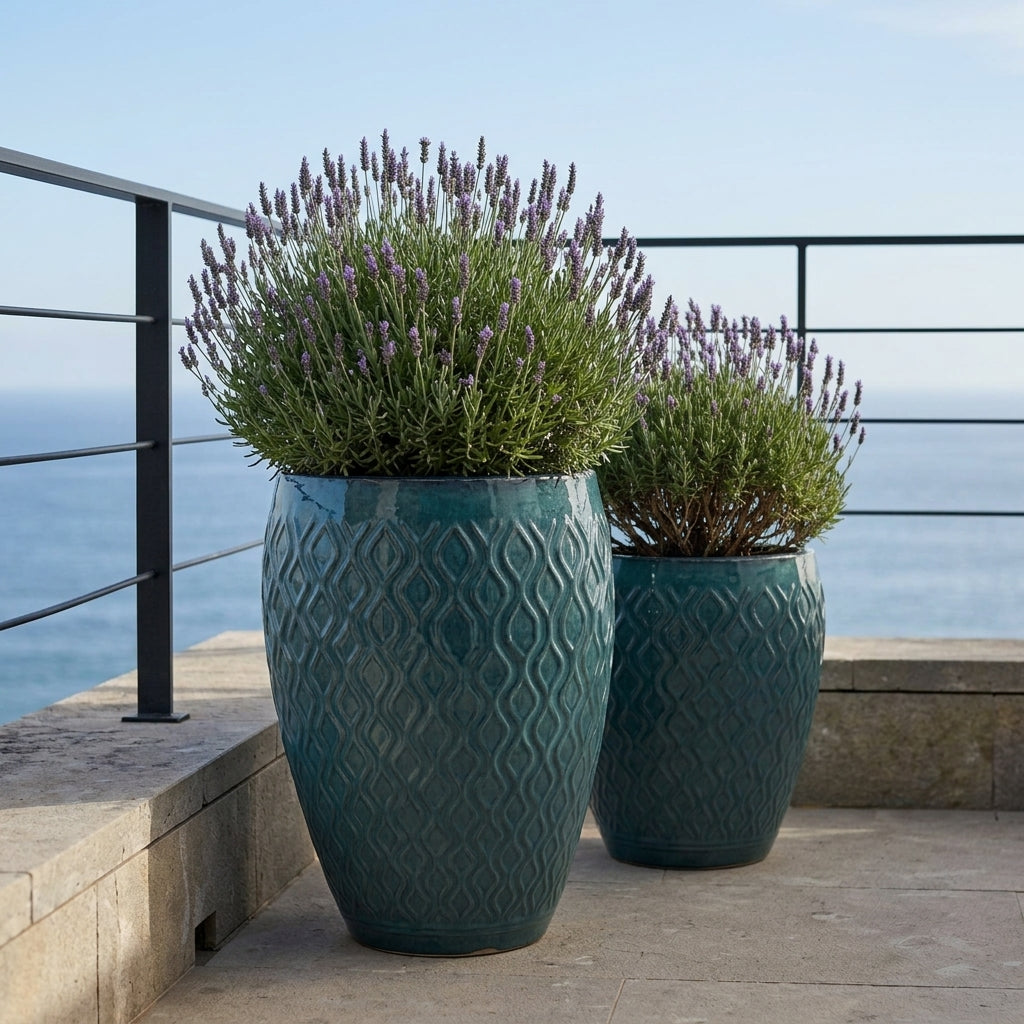 Detailní záběr na petrolejově modrý keramický květináč Phenix s rostlinou Cordyline na kamenné terase s výhledem na oceán.