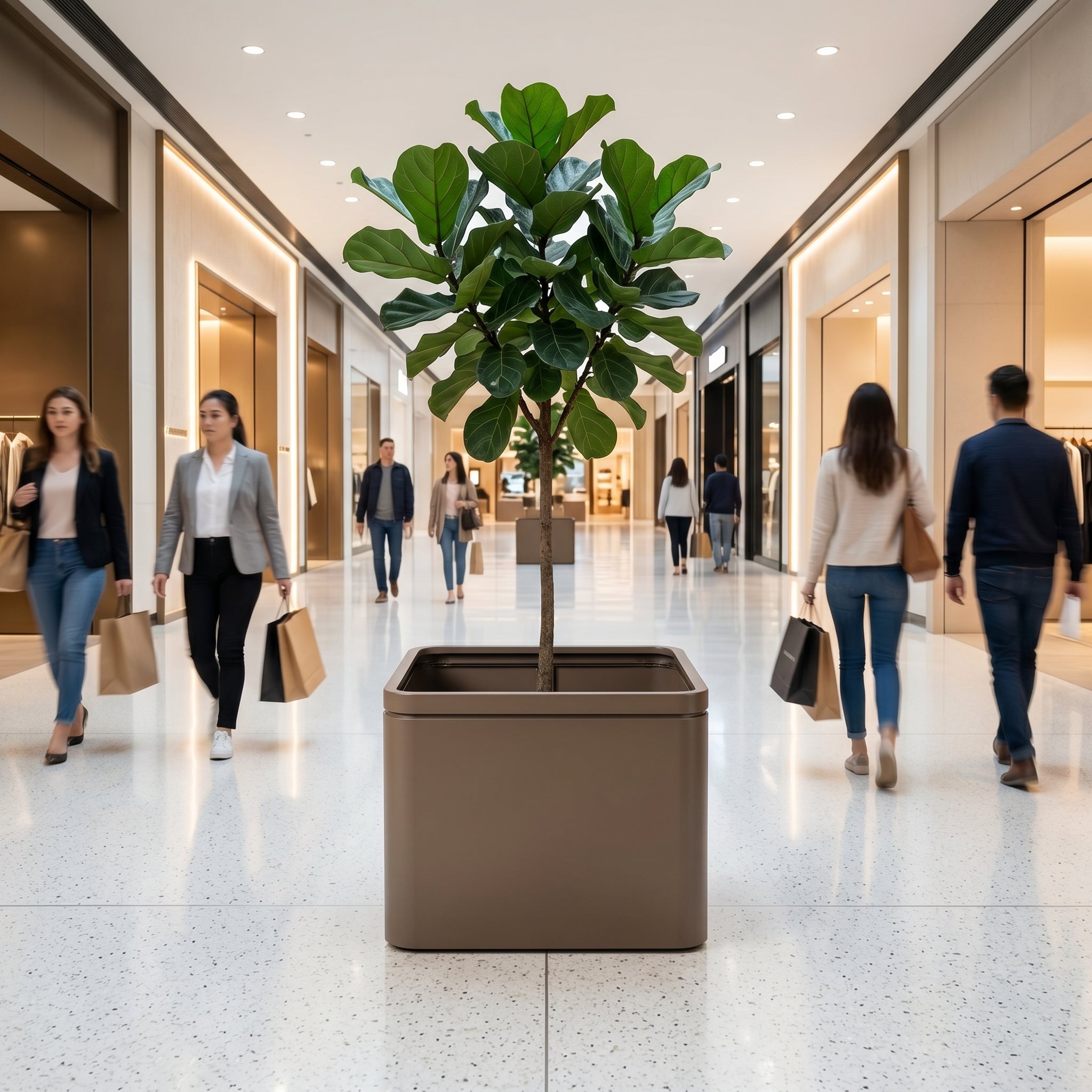Velký pozinkovaný ocelový květináč INFINITY SQUARE šedohnědý XXL s rostlinou Ficus lyrata v pasáži moderního nákupního centra.