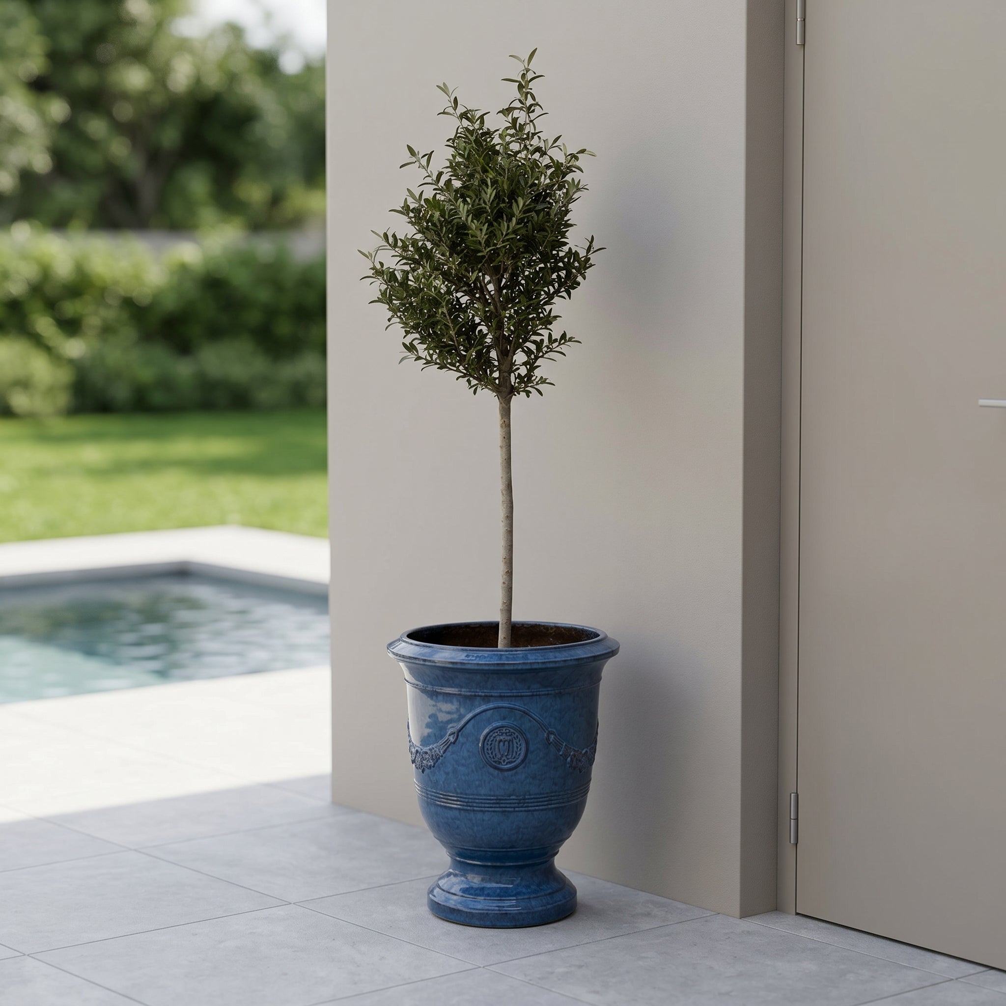 Olivenbaum schlanker Stamm im Pflanzkübel RICHELIEU Azurblau – draußen auf der Terrasse