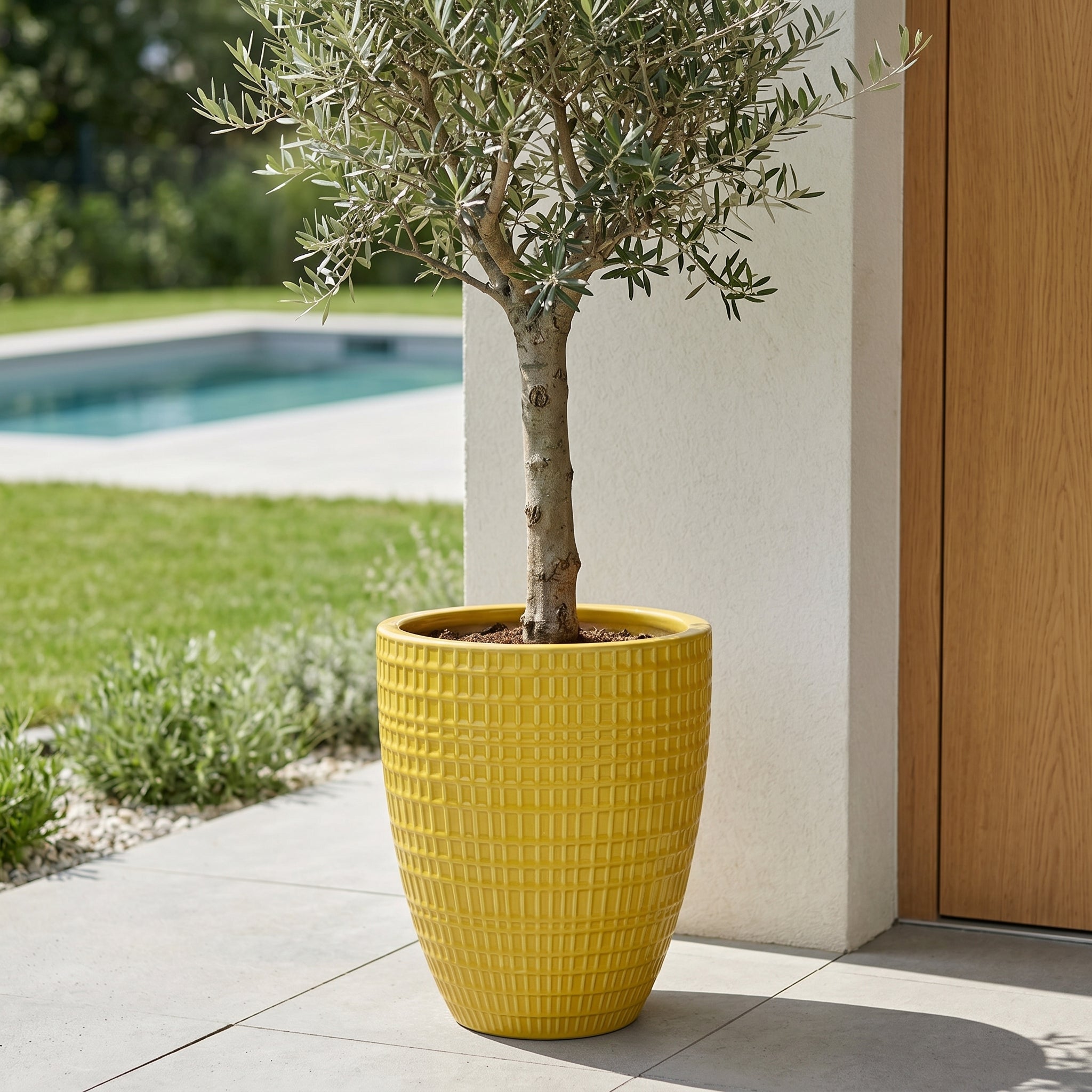 Detailní záběr na žlutý keramický květináč Verne velikosti M (32 x 40 cm) s olivovníkem na moderní terase u bazénu.
