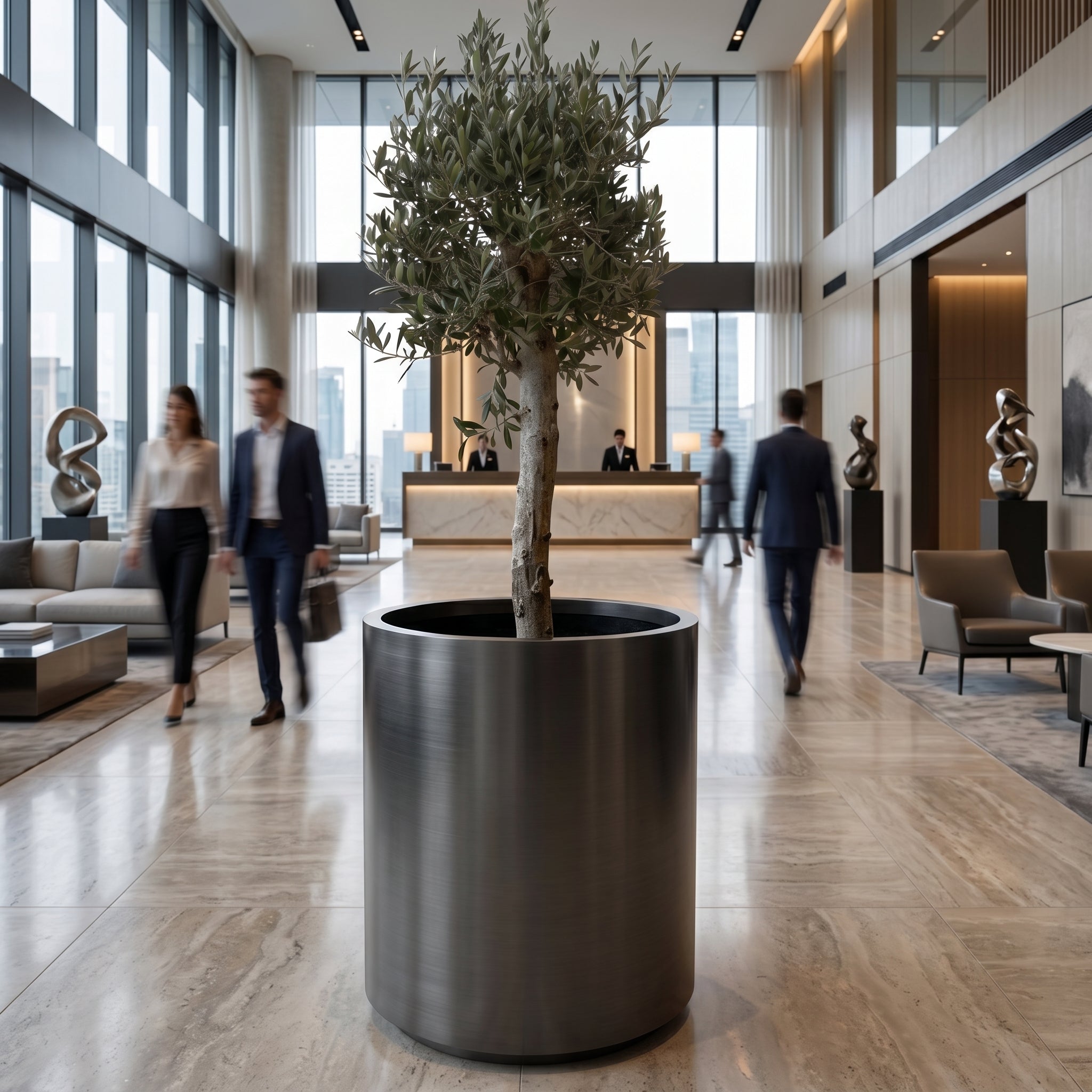 Olivenbaum (starker Stamm) im Topf METROPOLE 60×70cm — Schwarz