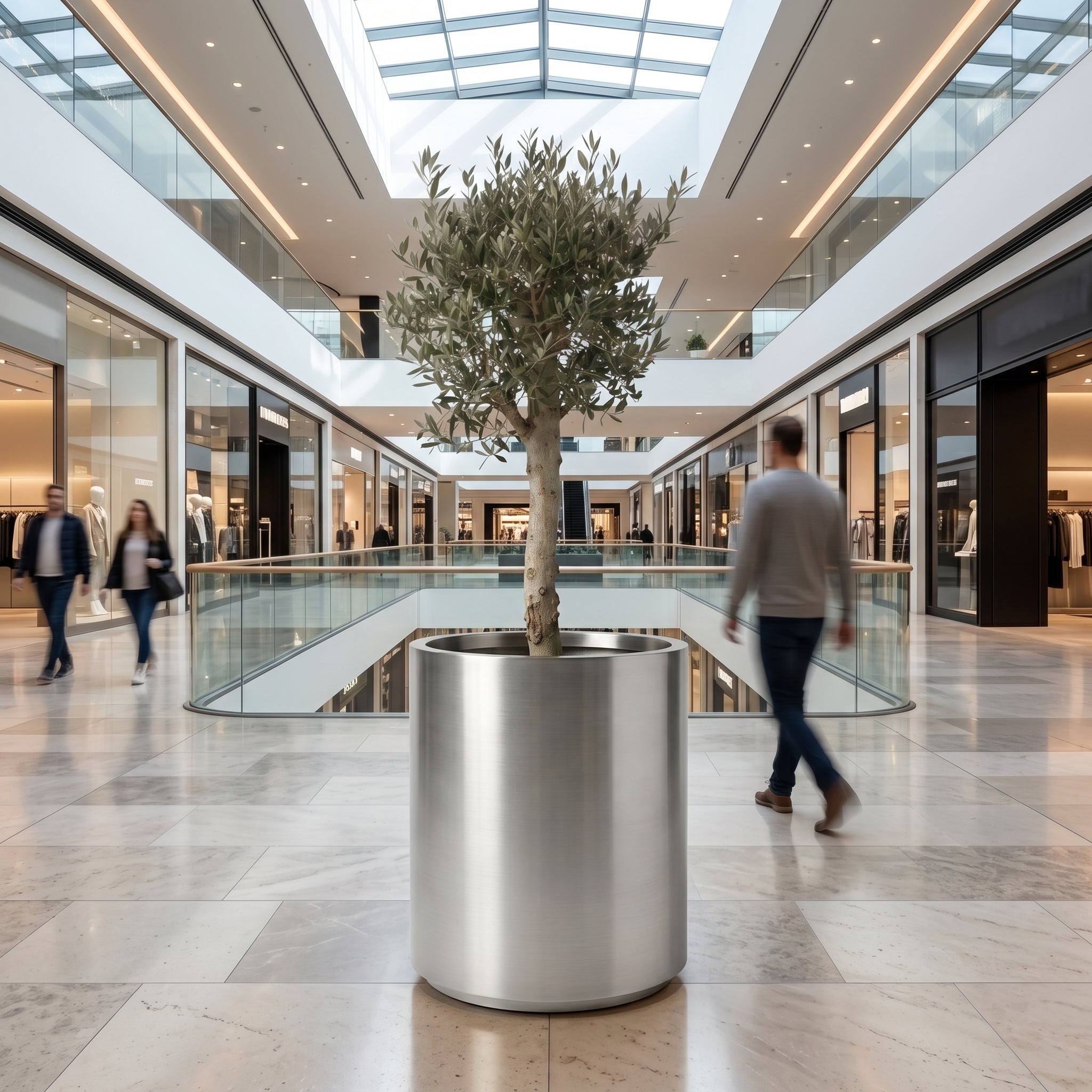 Olivenbaum (starker Stamm) im Topf METROPOLE 60×70cm — Gebürsteter Edelstahl