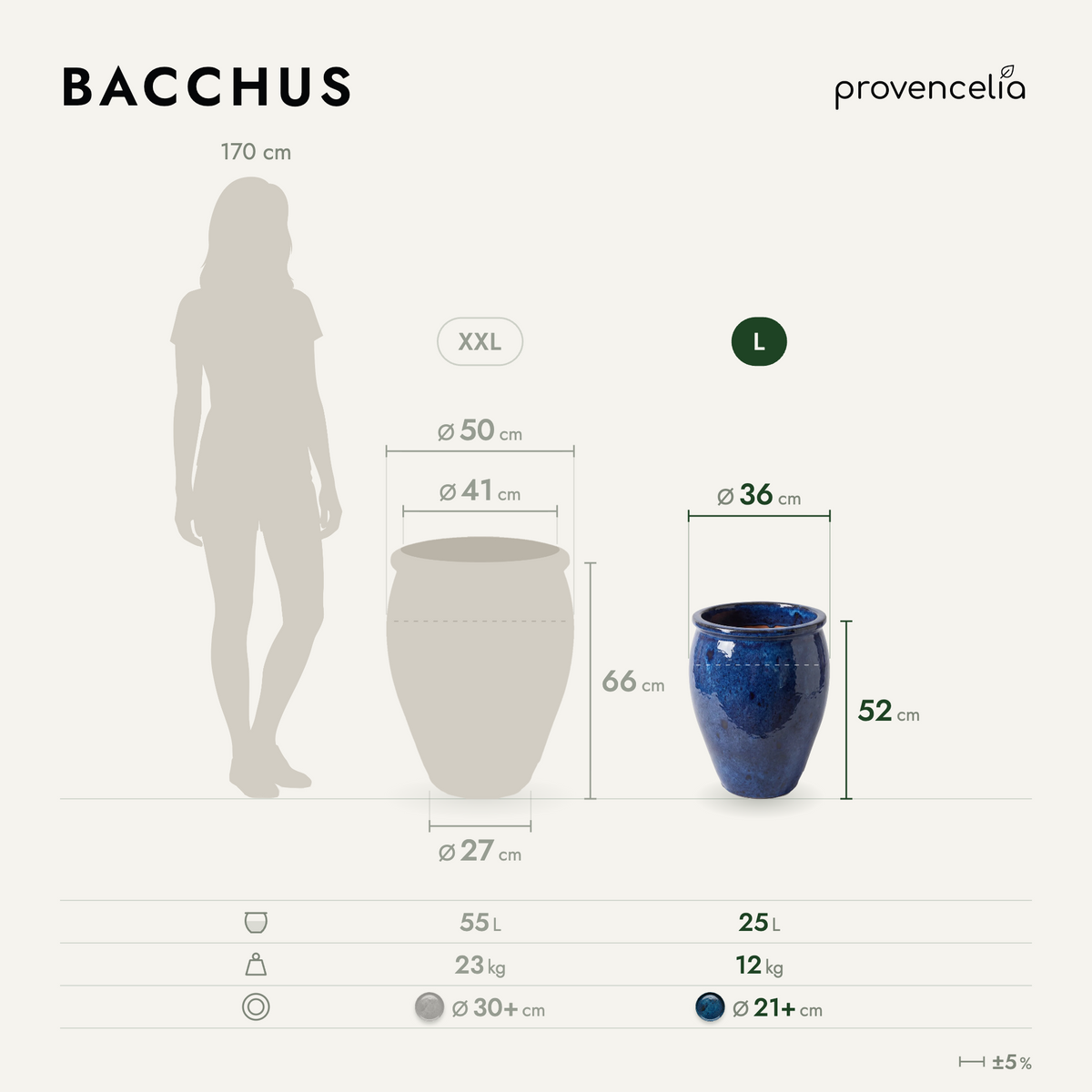 BACCHUS L – Maße
