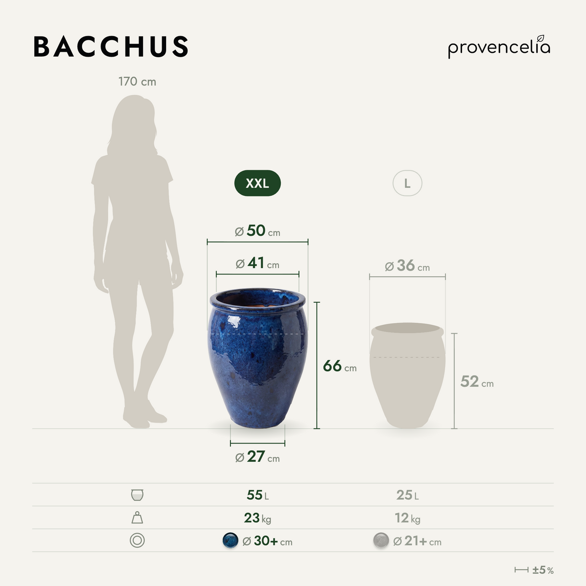 BACCHUS XXL – Maße