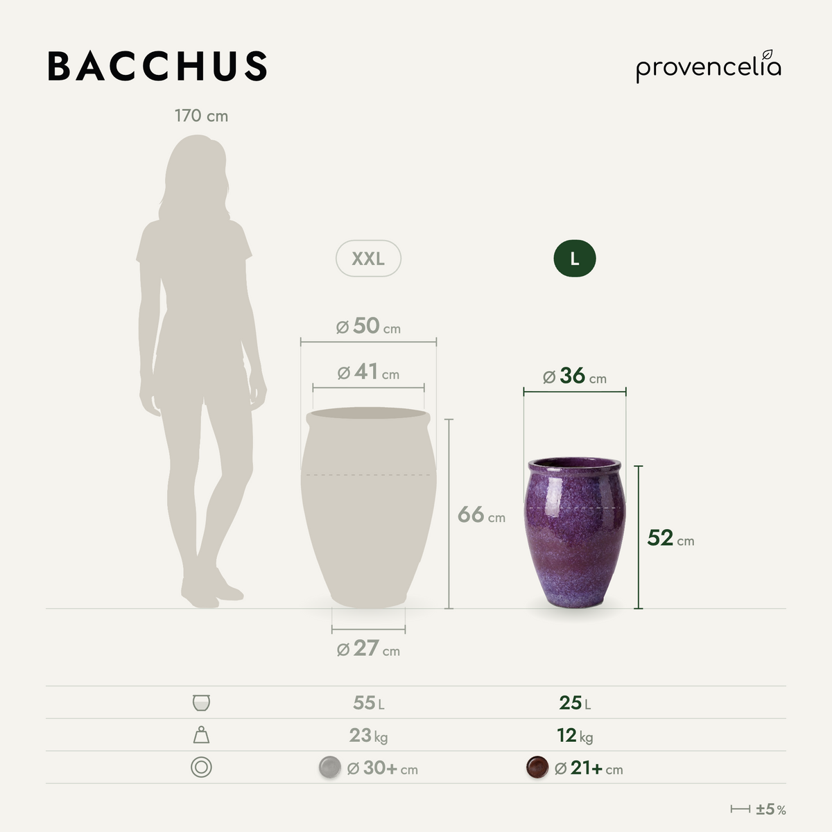 BACCHUS XL – Maße