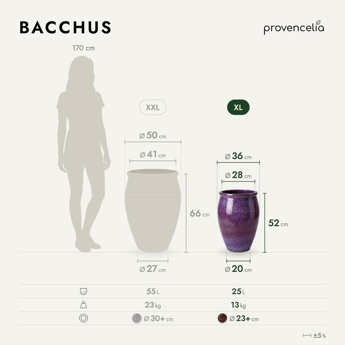 BACCHUS XL – Maße