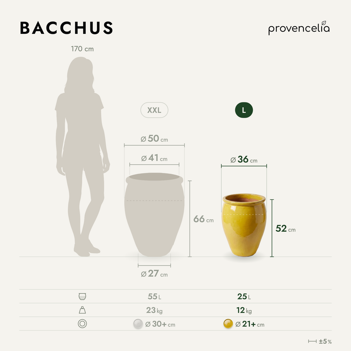BACCHUS L – Maße