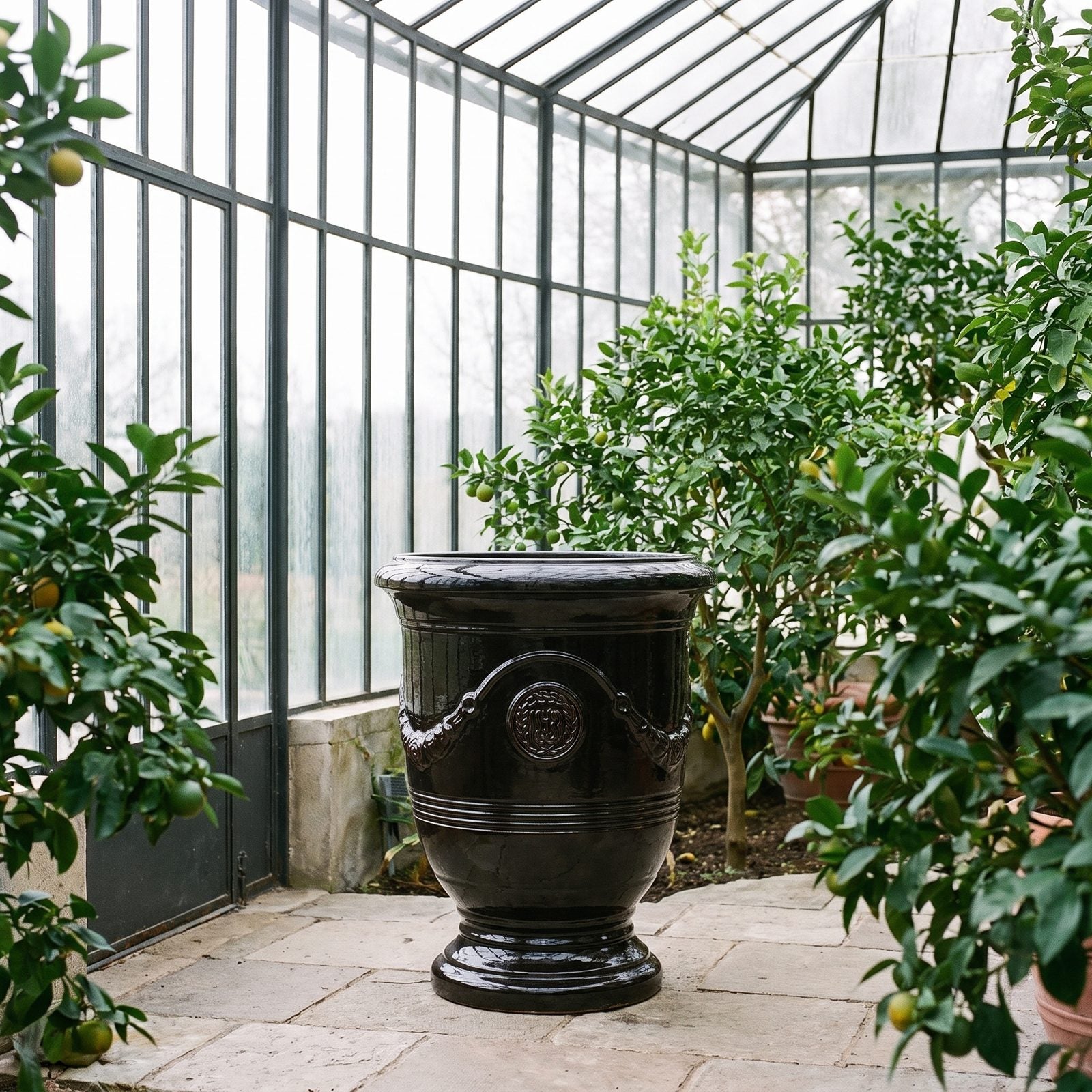 RICHELIEU Schwarz in der Orangerie zwischen Zitrusbäumen