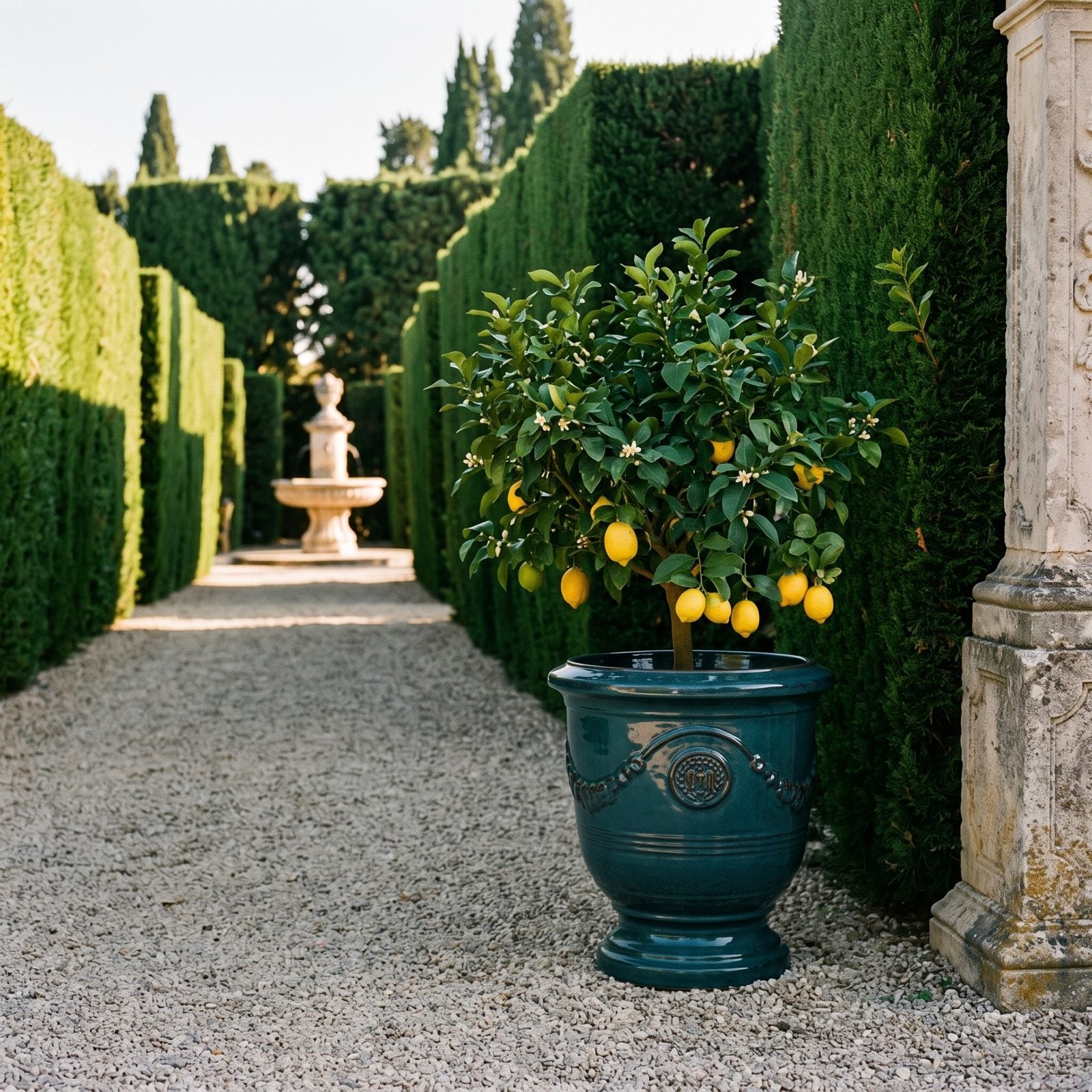 RICHELIEU Tropische Lagune mit fruchtbehangenem Zitronenbaum in einer Zypressenallee