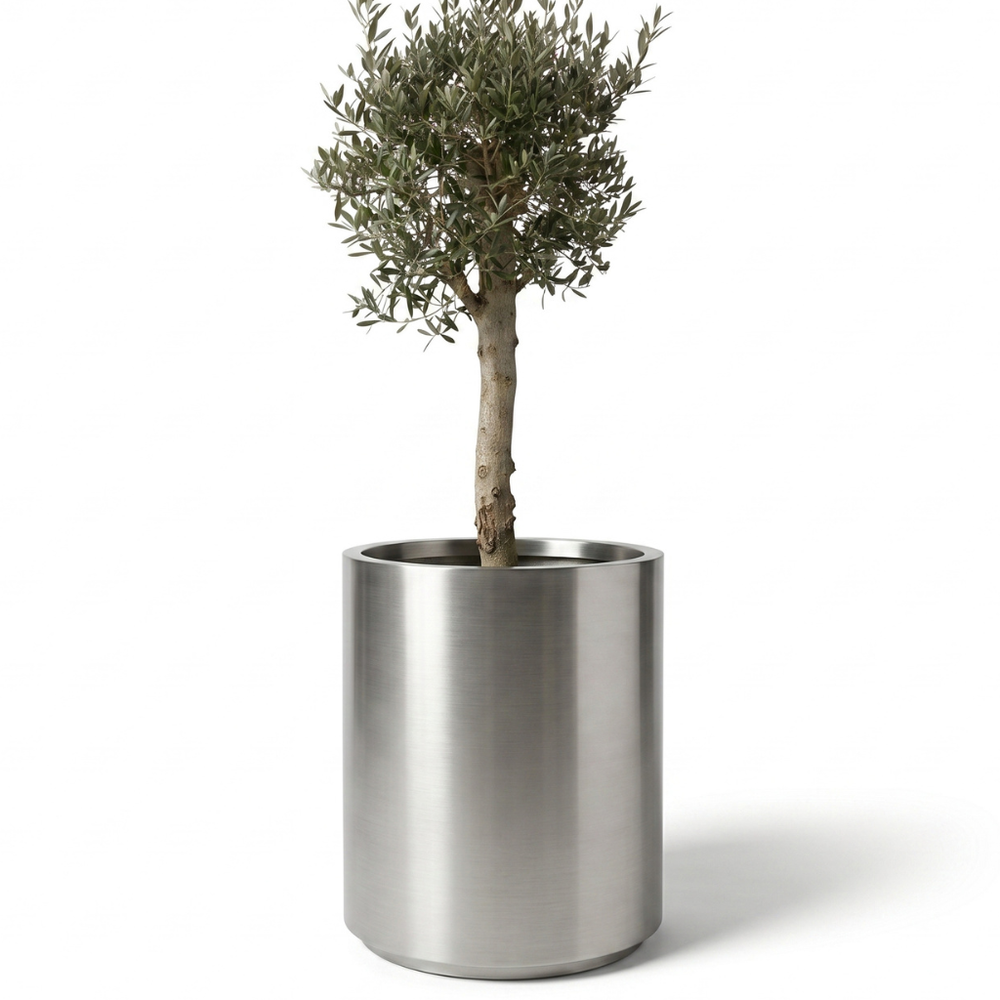 Olivenbaum (starker Stamm) im Topf METROPOLE 60×70cm — Gebürsteter Edelstahl