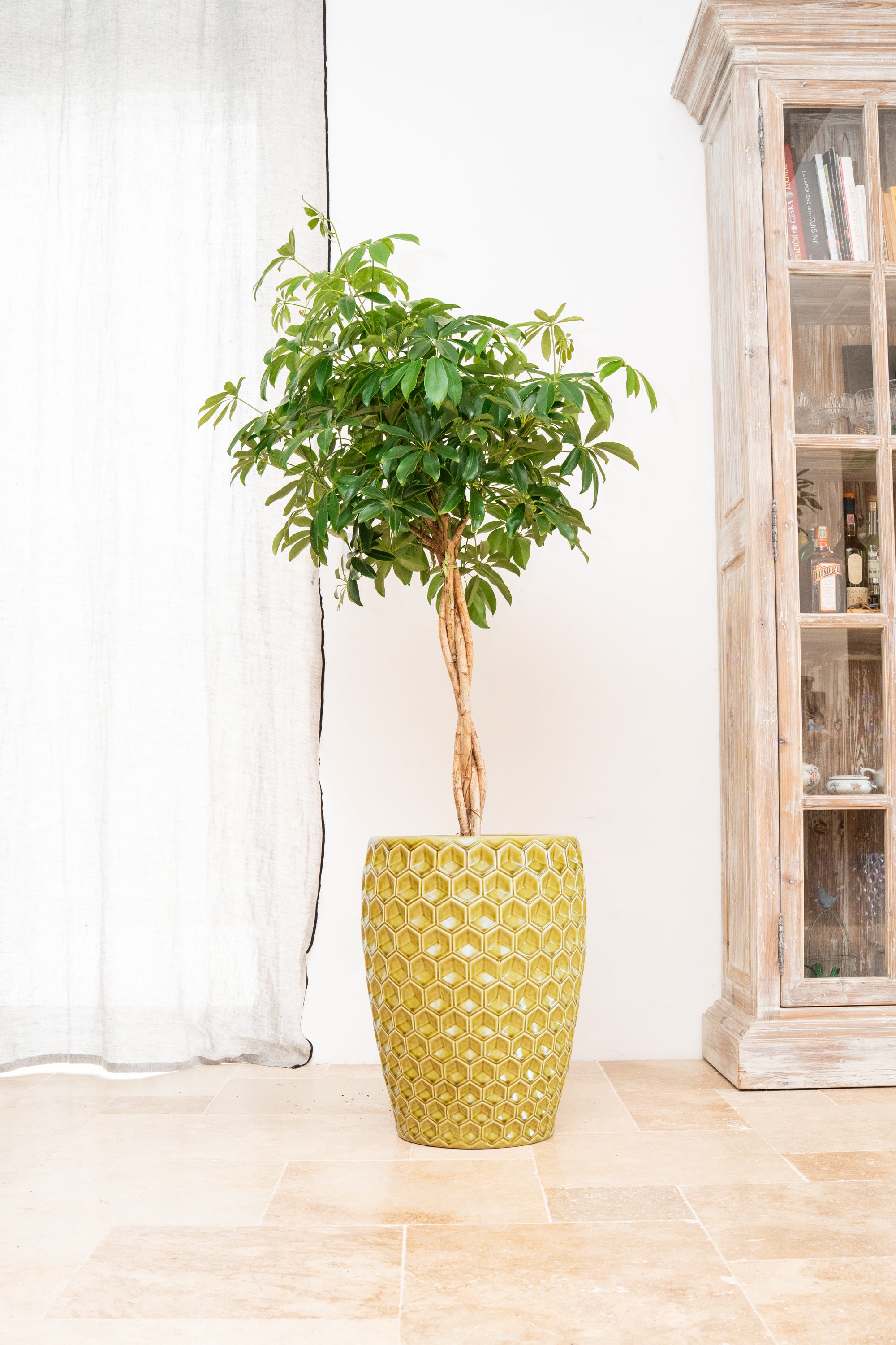 Keramischer Blumentopf Versaille – Gelb