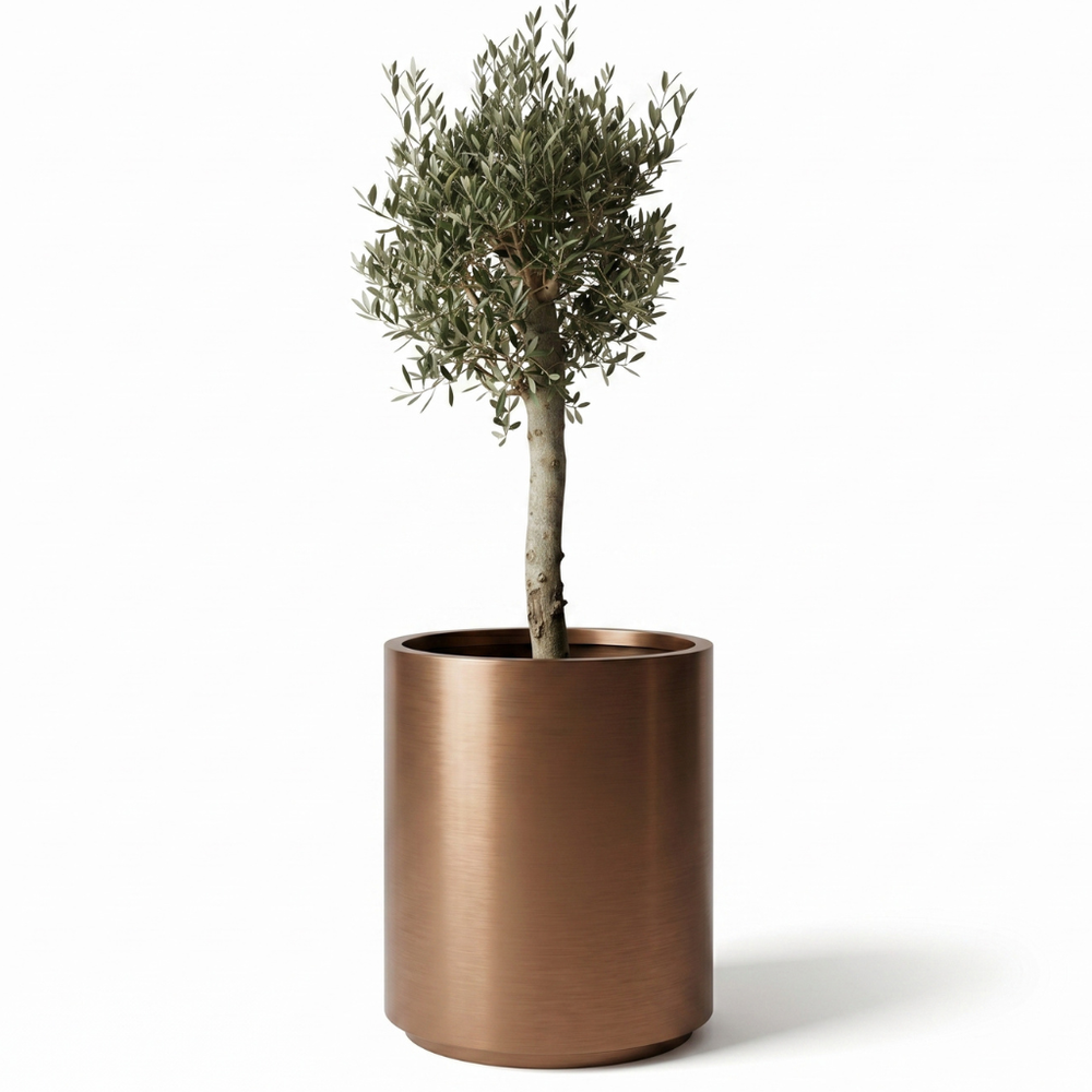 Olivenbaum (starker Stamm) im Topf METROPOLE 60×70cm — Kupfer