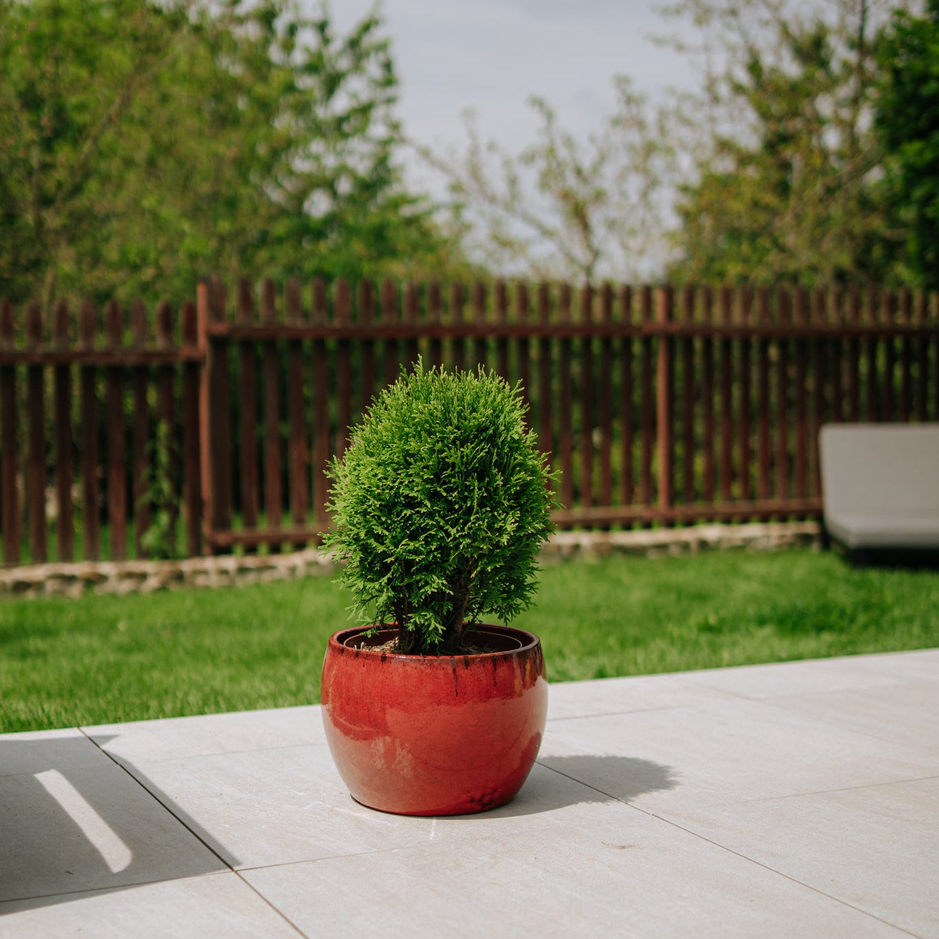 Keramik-Blumentopf ROMULUS - Tropenrot