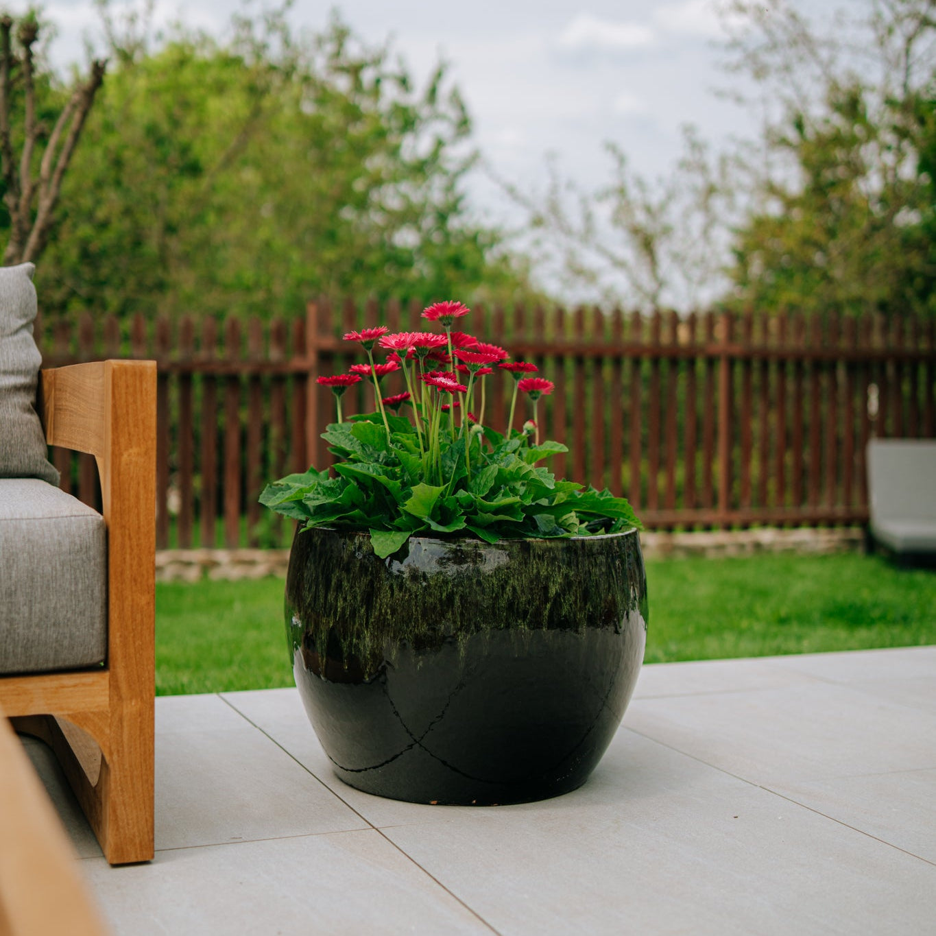 Keramik-Blumentopf ROMULUS - Schwarz/Grün