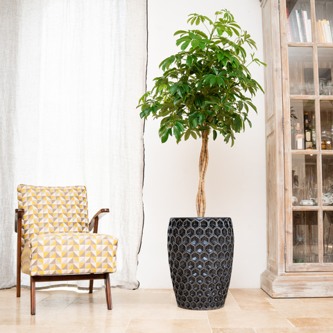 Keramik-Blumentopf VERSAILLE - Schwarz