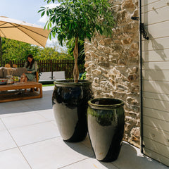 Keramický květináč BACCHUS - Černo-zelená