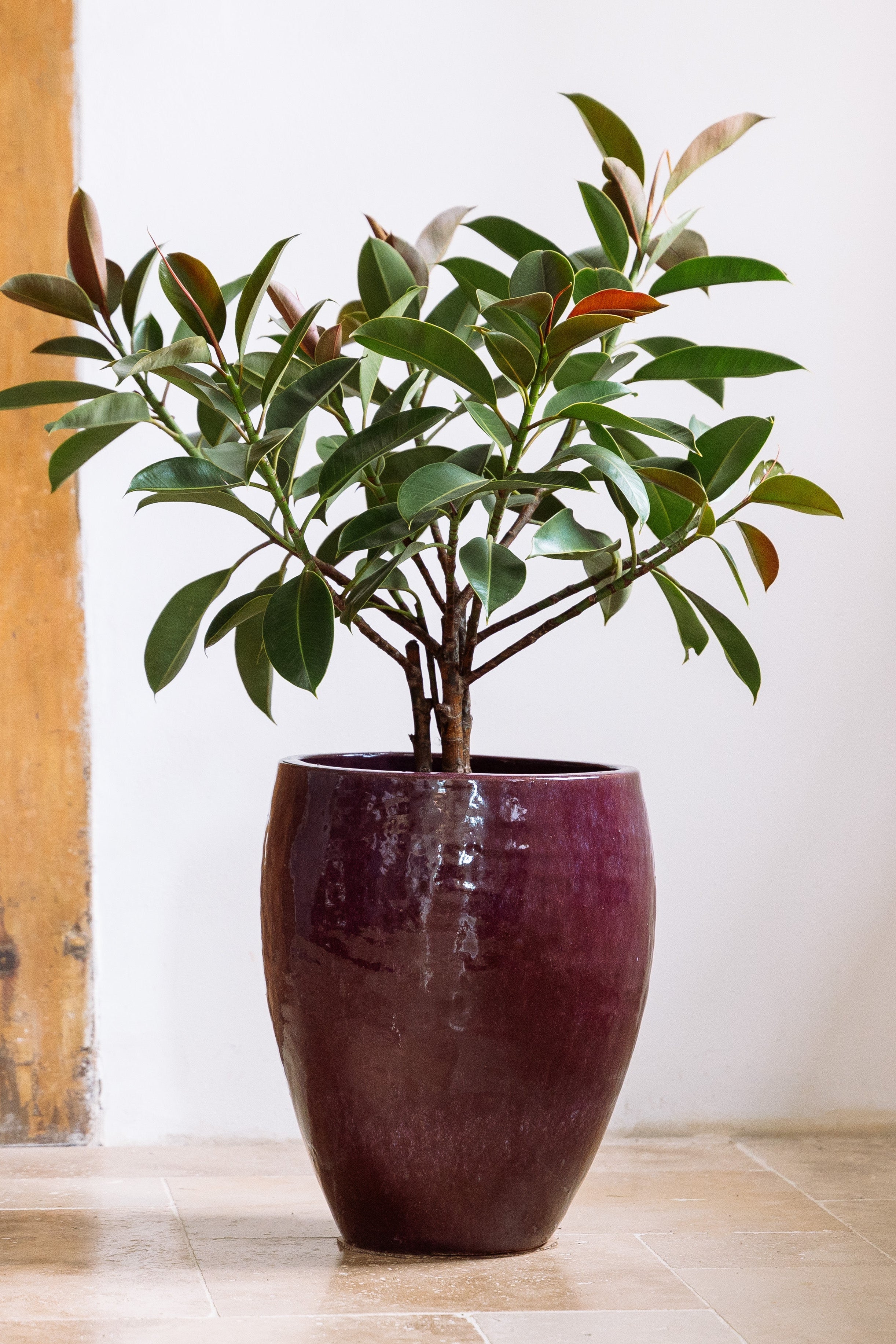 Keramik-Blumentopf Poseidon – Herbstliches Violett