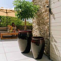 Keramik-Blumentopf BACCHUS - Schwarz-Rot