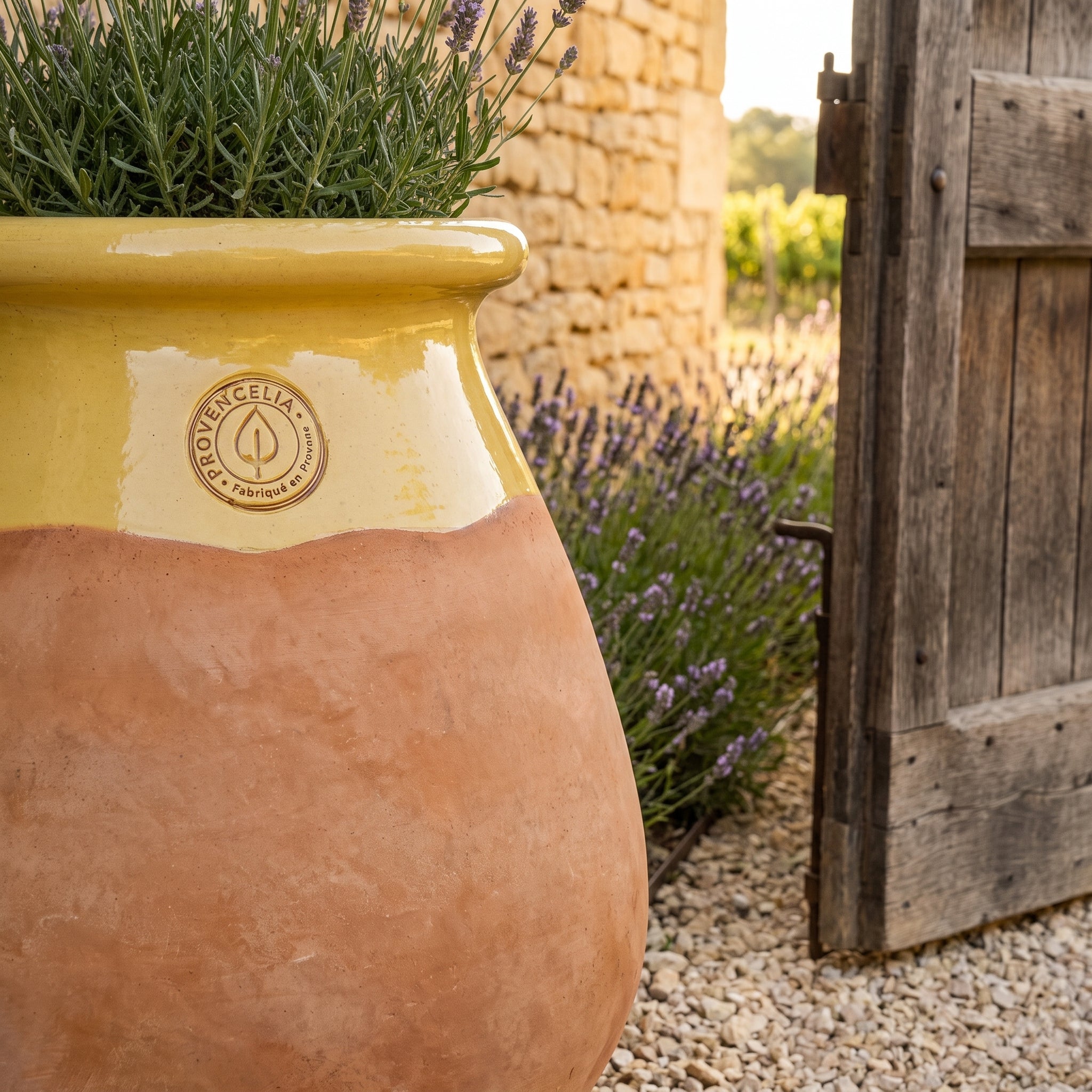 Provenzalischer Biot MADE IN PROVENCE – Terrakotta cérusée mit honigglasiertem Kragen - XL (63 cm)