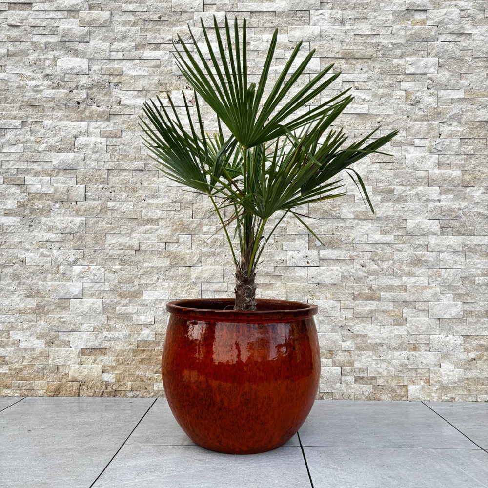 Keramik-Pflanzkübel NEWTON - Tropisches Orange - XL (55 cm x 46 cm)