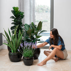 Keramicky květináč Romulus - Černá